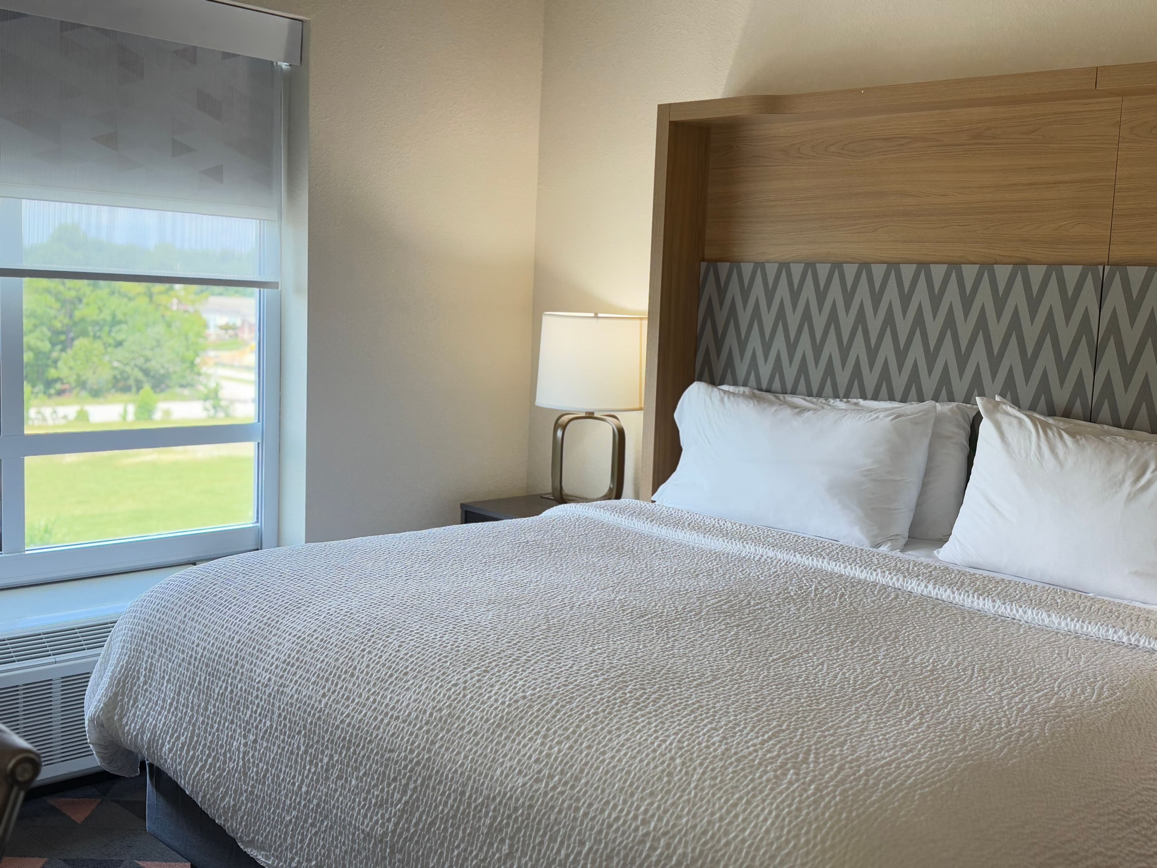 Holiday Inn & Suites Fayetteville W-Fort Bragg Area - Image 2