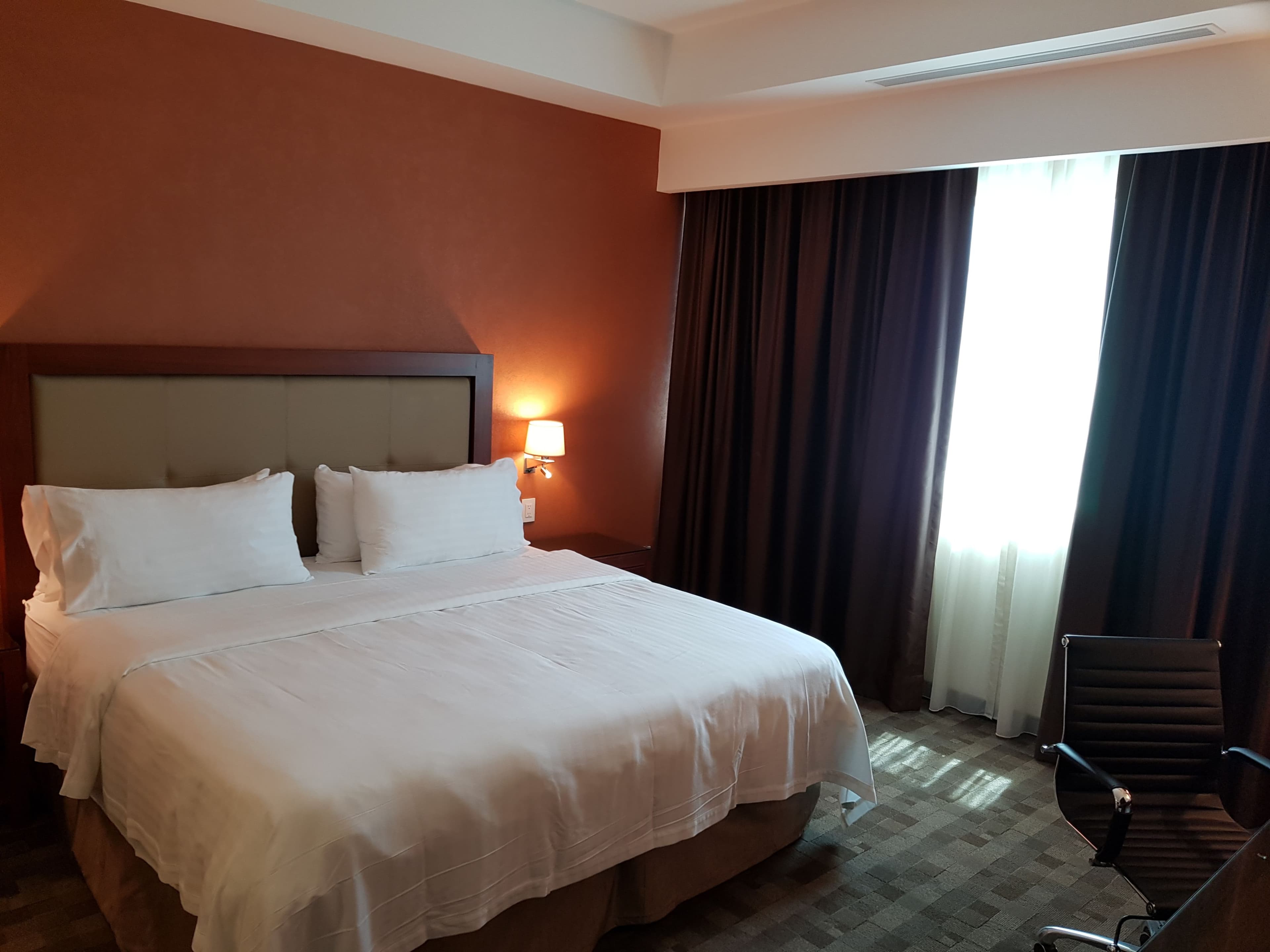 Holiday Inn & Suites Leon Plaza Mayor — 21