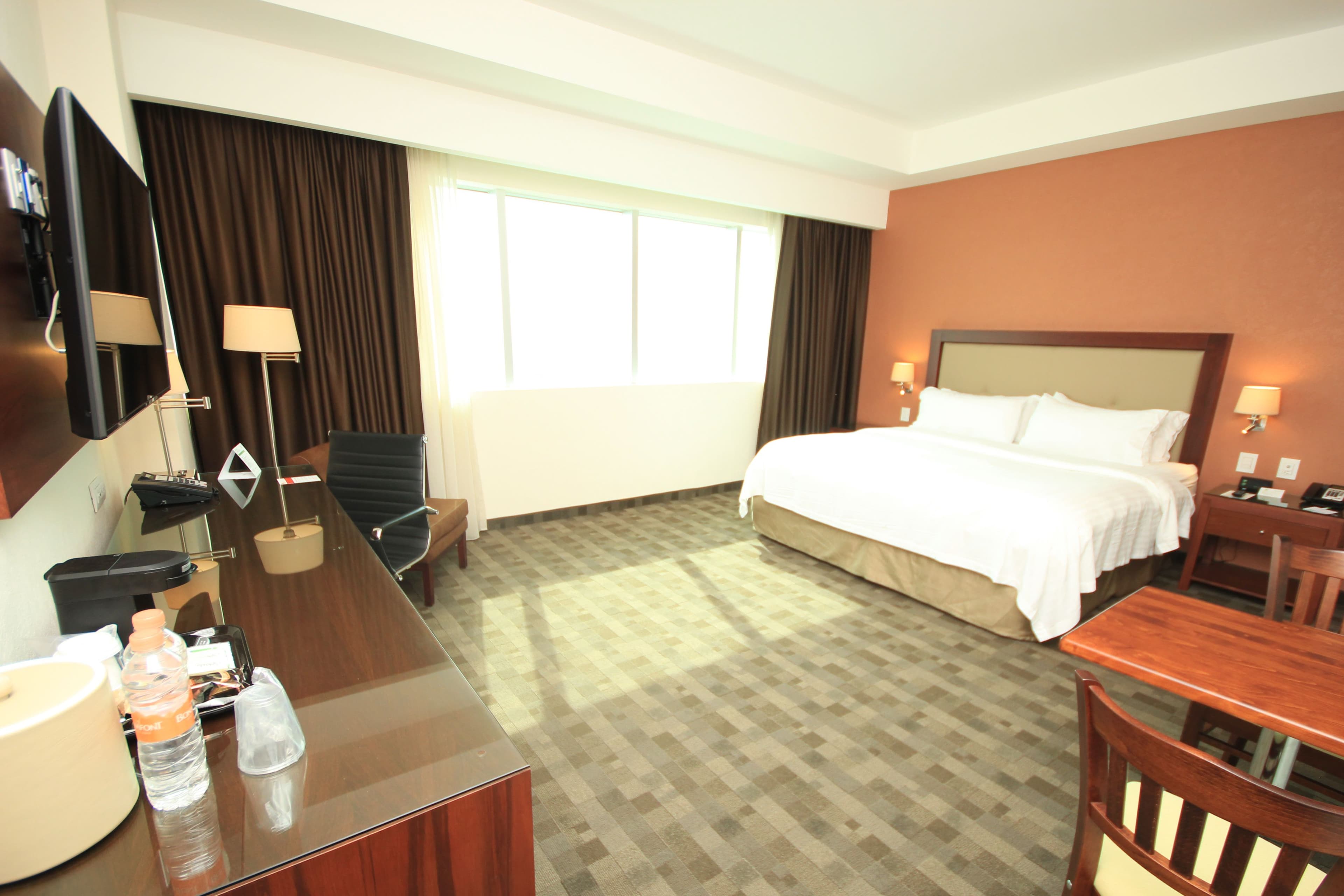 Holiday Inn & Suites Leon Plaza Mayor — 10