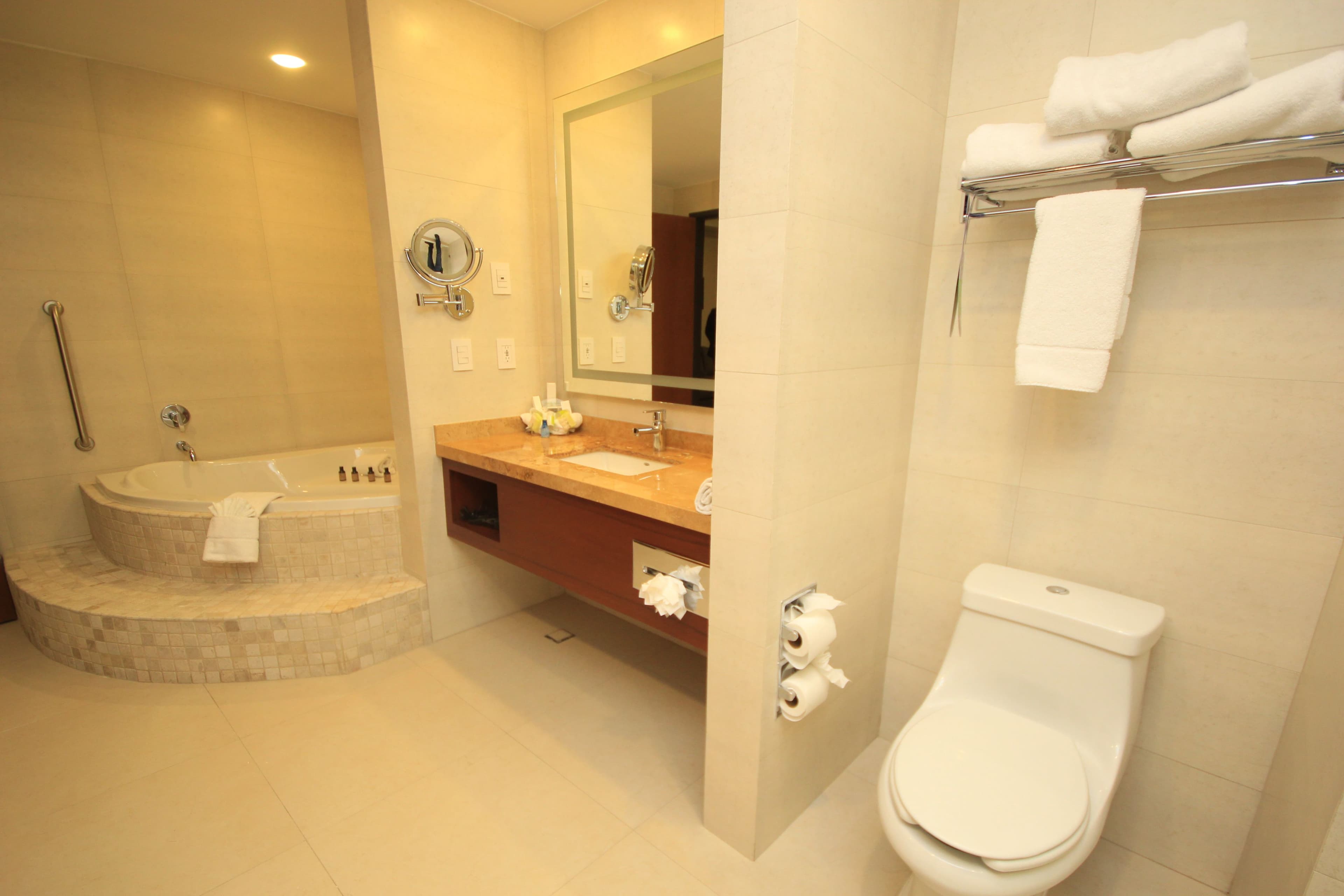 Holiday Inn & Suites Leon Plaza Mayor — 53