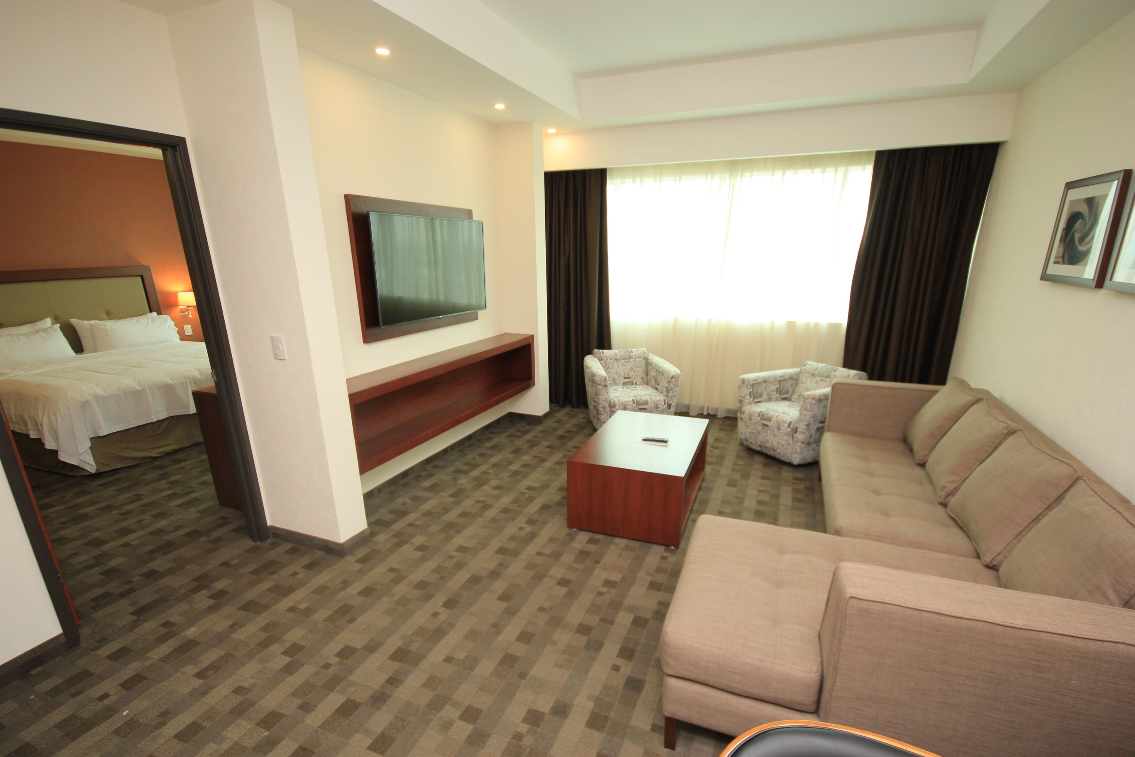 Holiday Inn & Suites Leon Plaza Mayor — 57