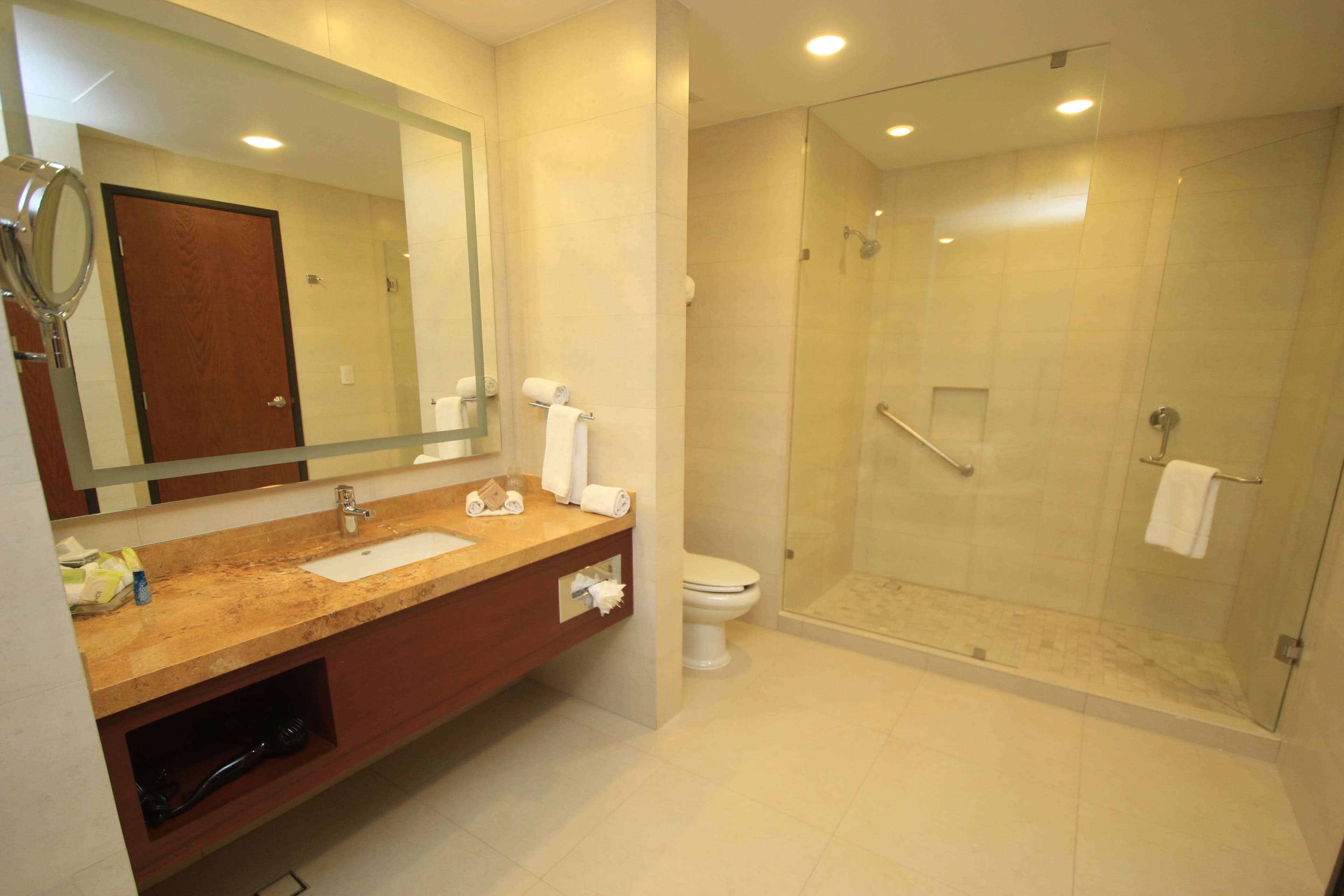 Holiday Inn & Suites Leon Plaza Mayor — 22