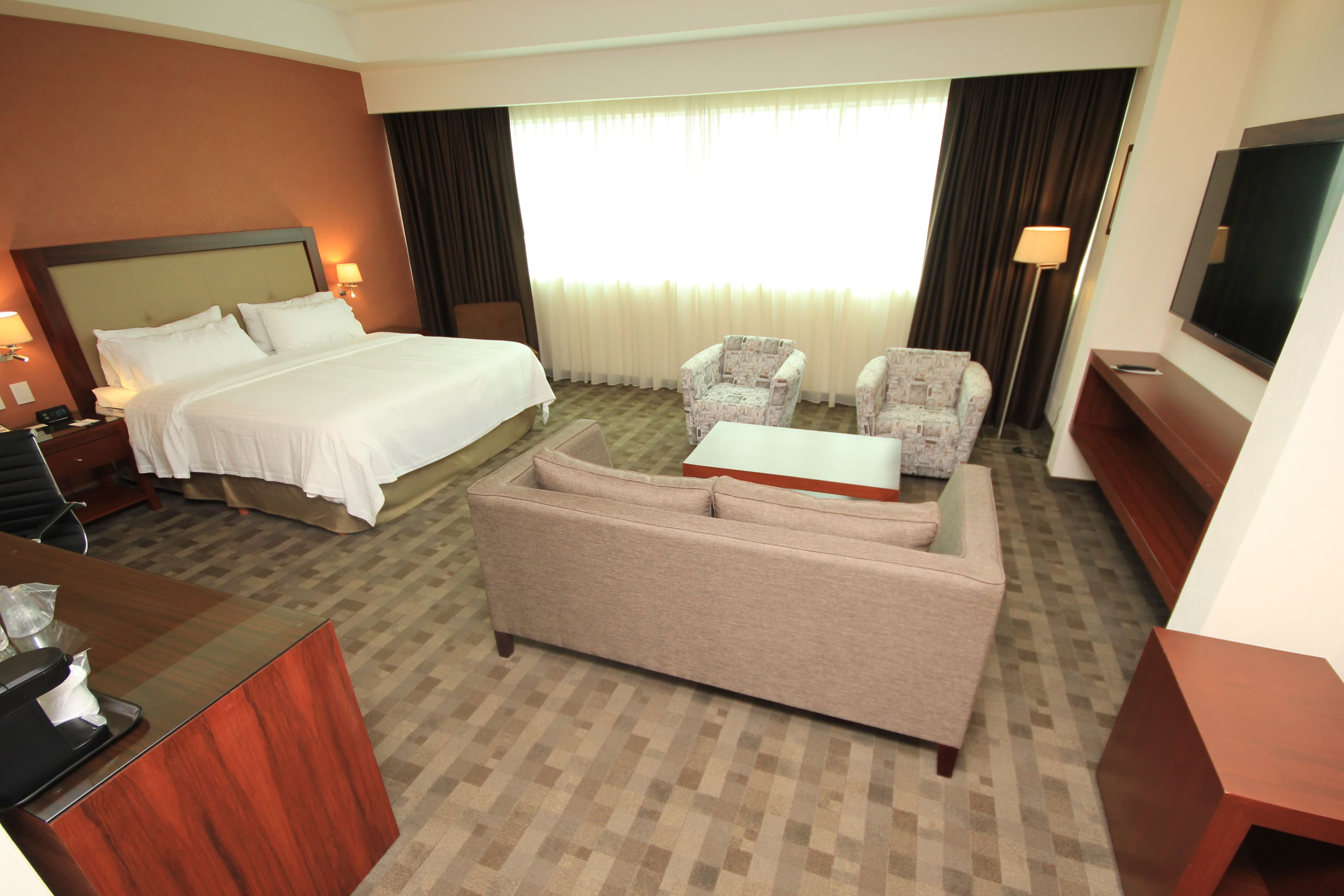 Holiday Inn & Suites Leon Plaza Mayor — 30