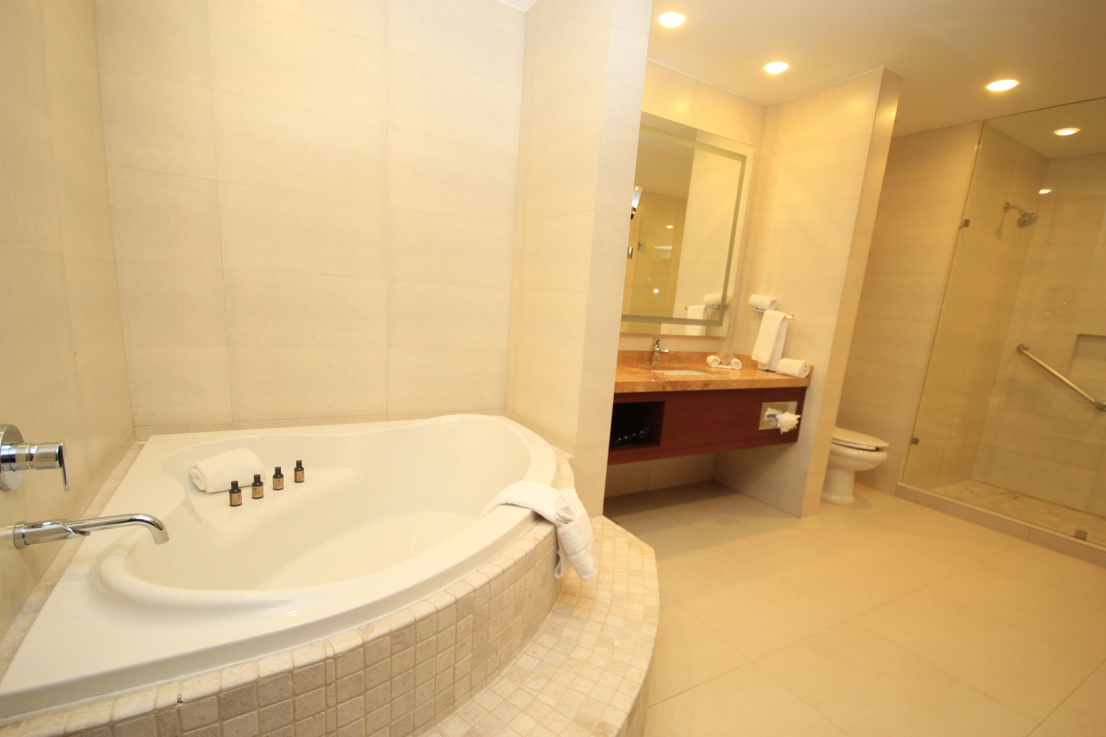 Holiday Inn & Suites Leon Plaza Mayor — 59