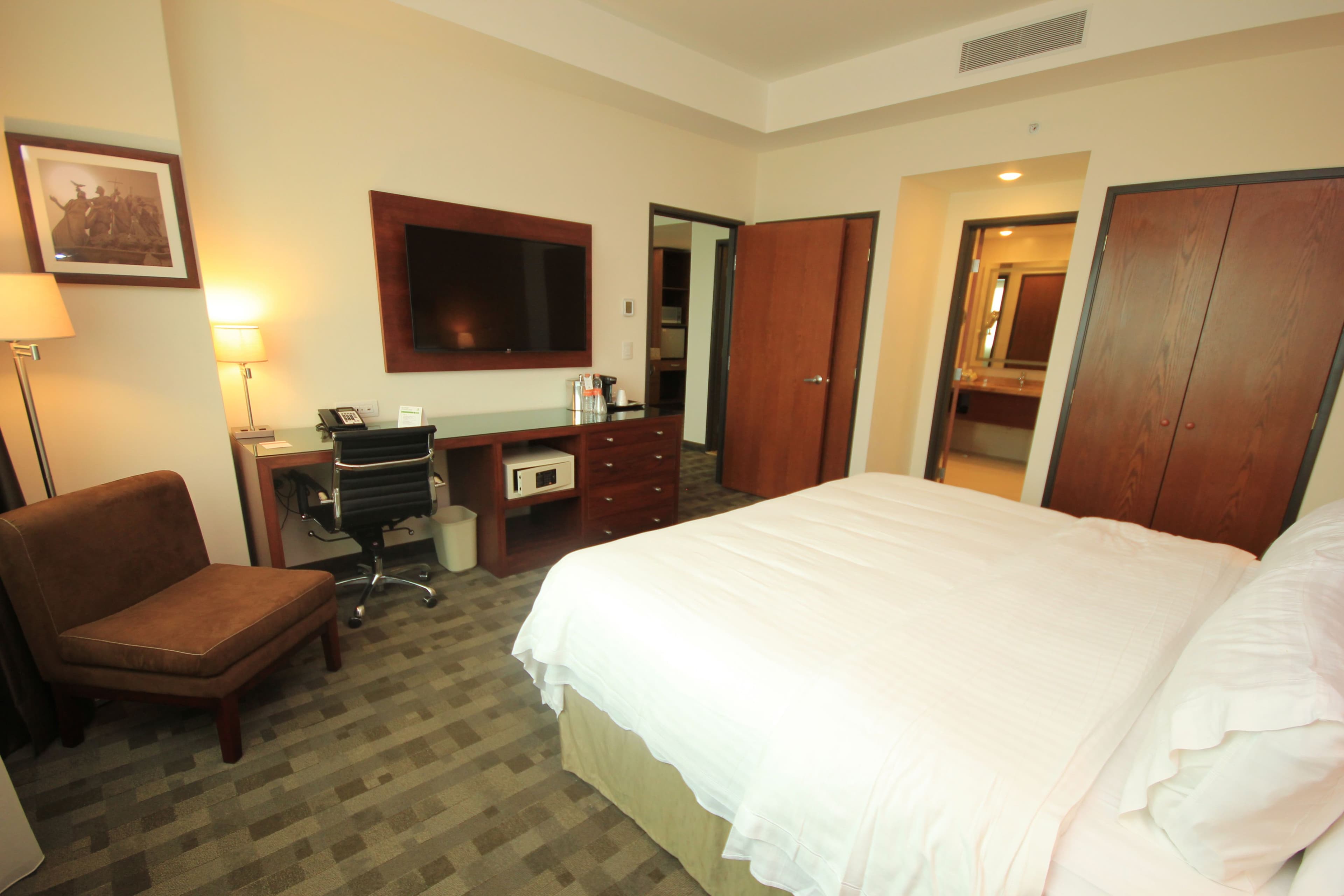 Holiday Inn & Suites Leon Plaza Mayor — 15