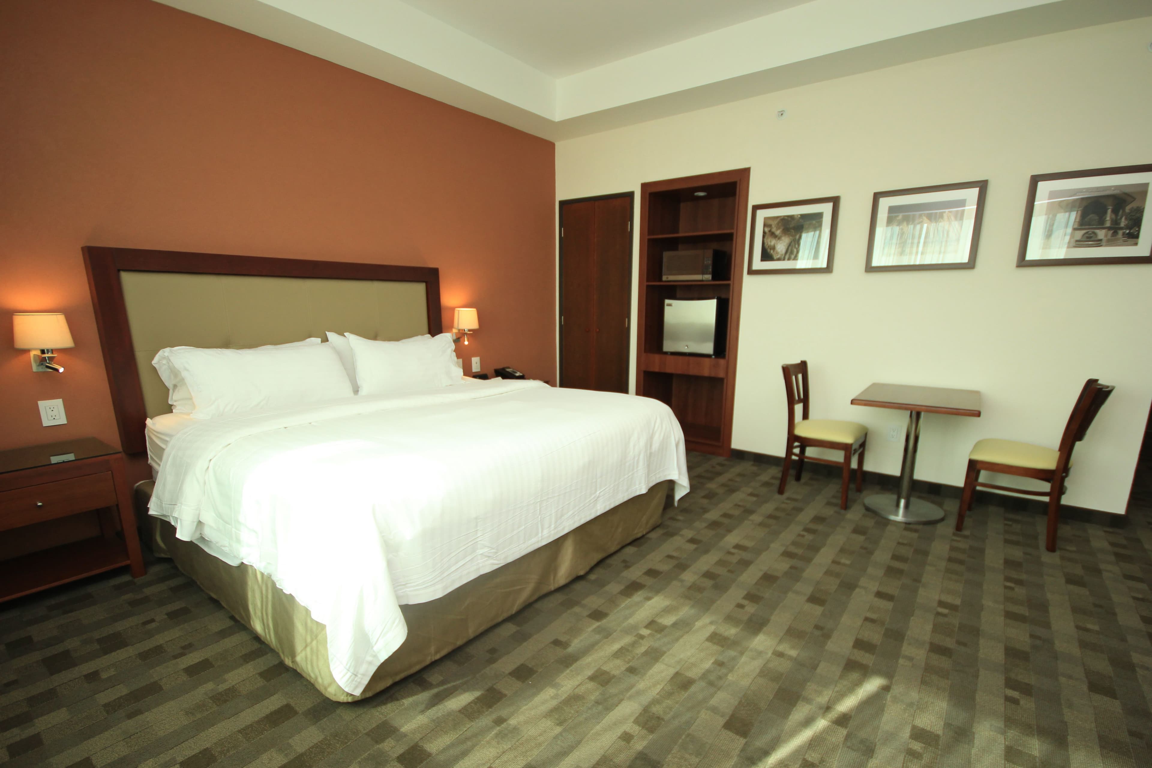 Holiday Inn & Suites Leon Plaza Mayor — 9