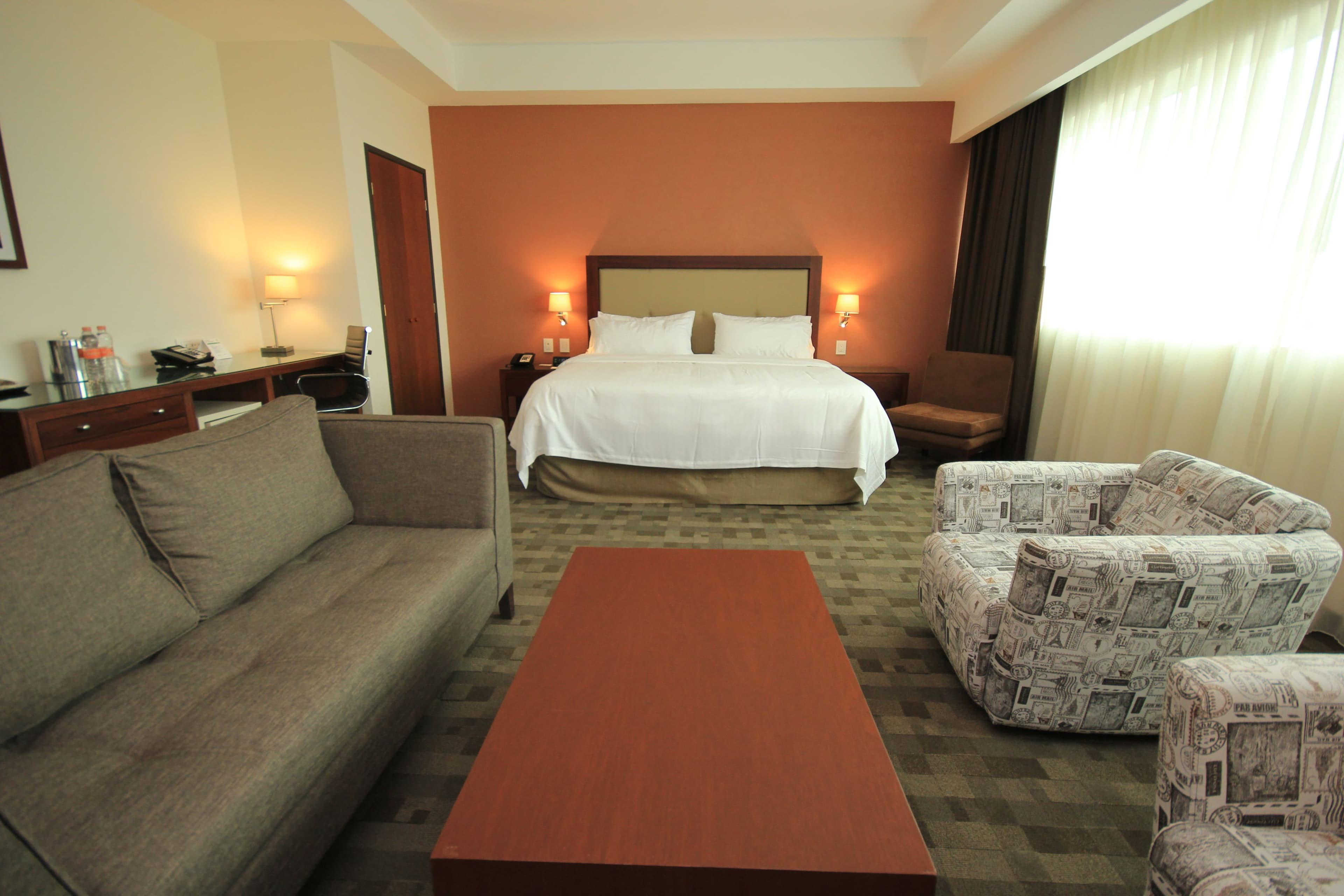 Holiday Inn & Suites Leon Plaza Mayor — 37