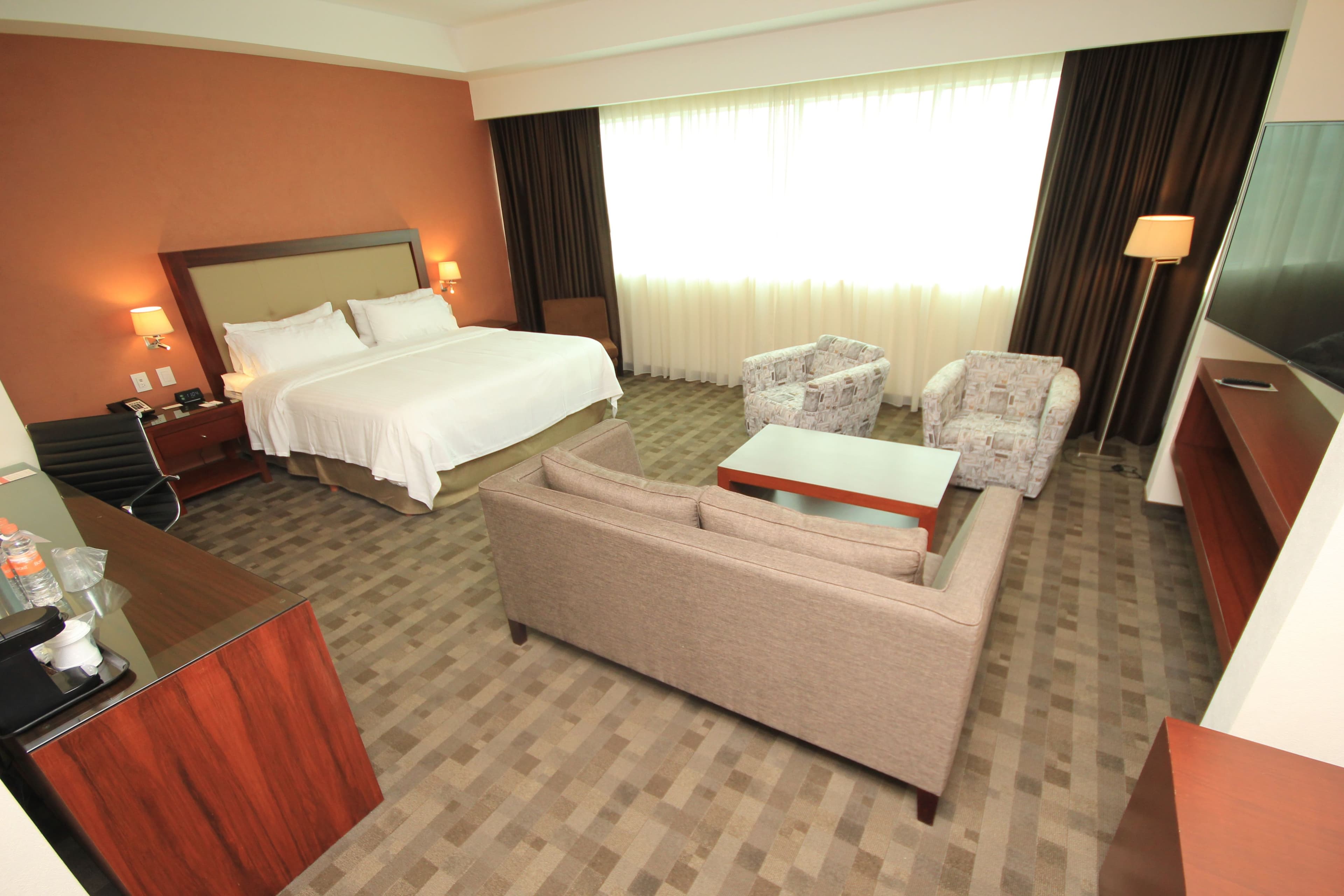 Holiday Inn & Suites Leon Plaza Mayor — 41