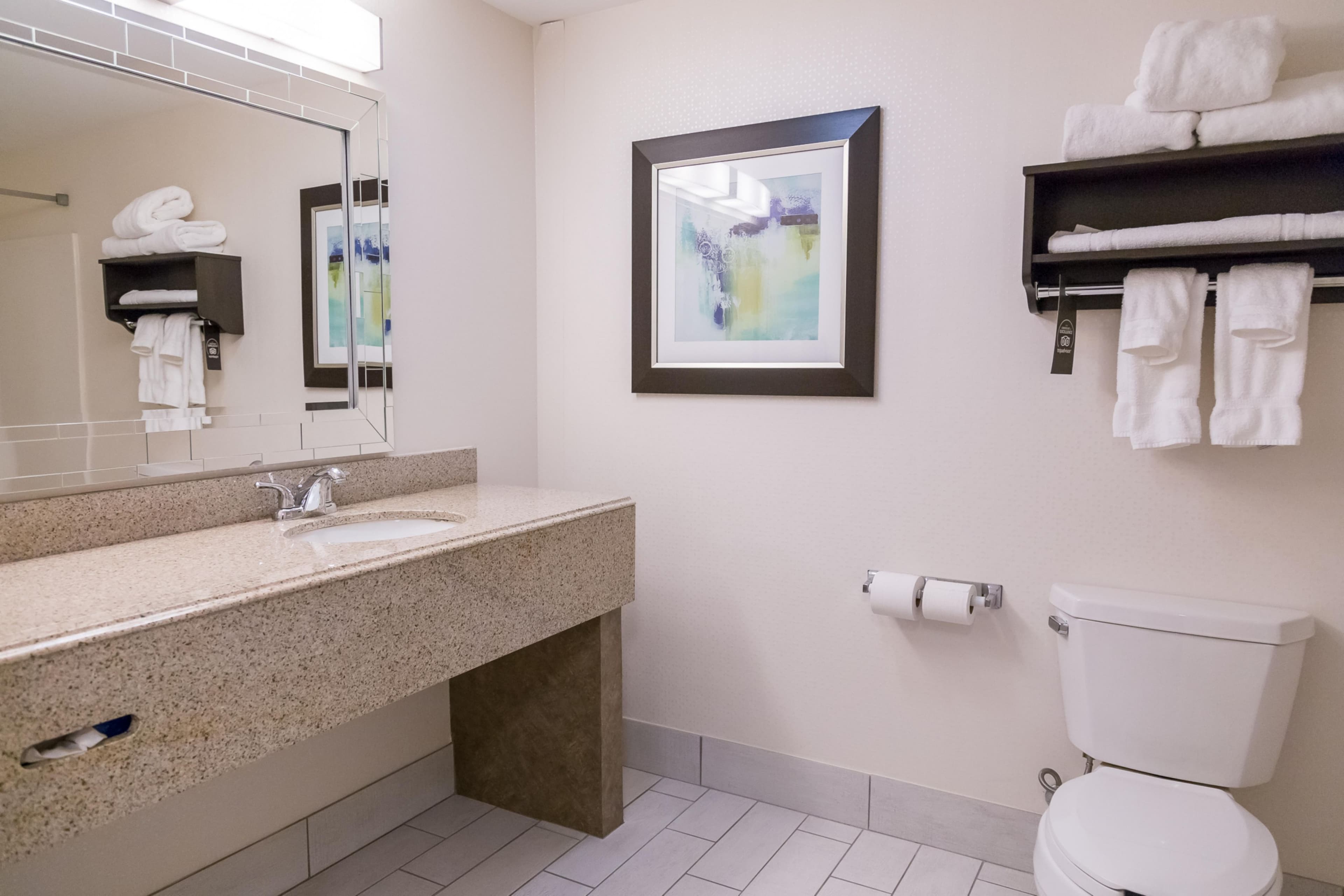 Holiday Inn & Suites Syracuse Airport - Liverpool — 8