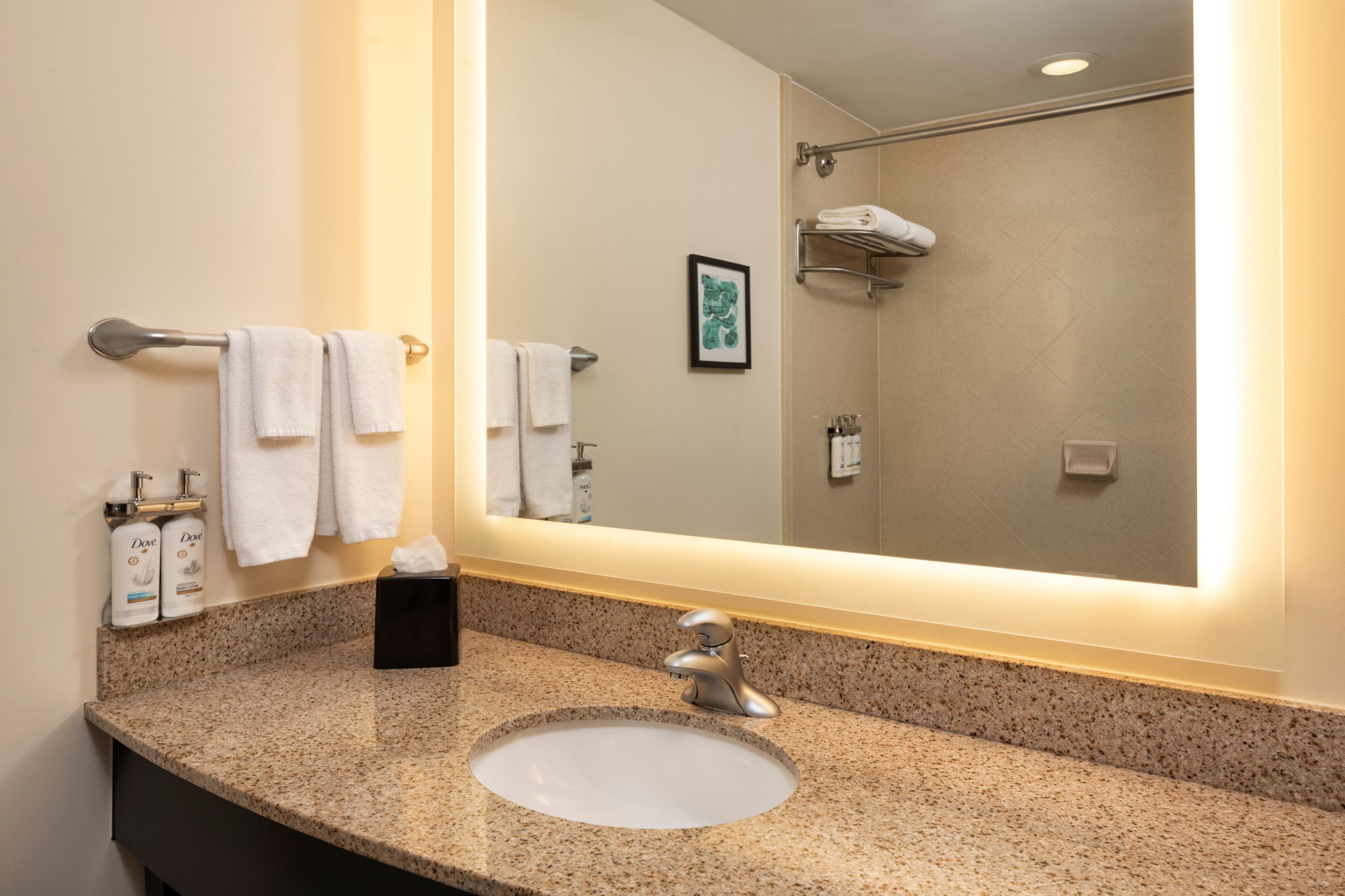 Holiday Inn & Suites Maple Grove NW Mpls-Arbor Lks — 6
