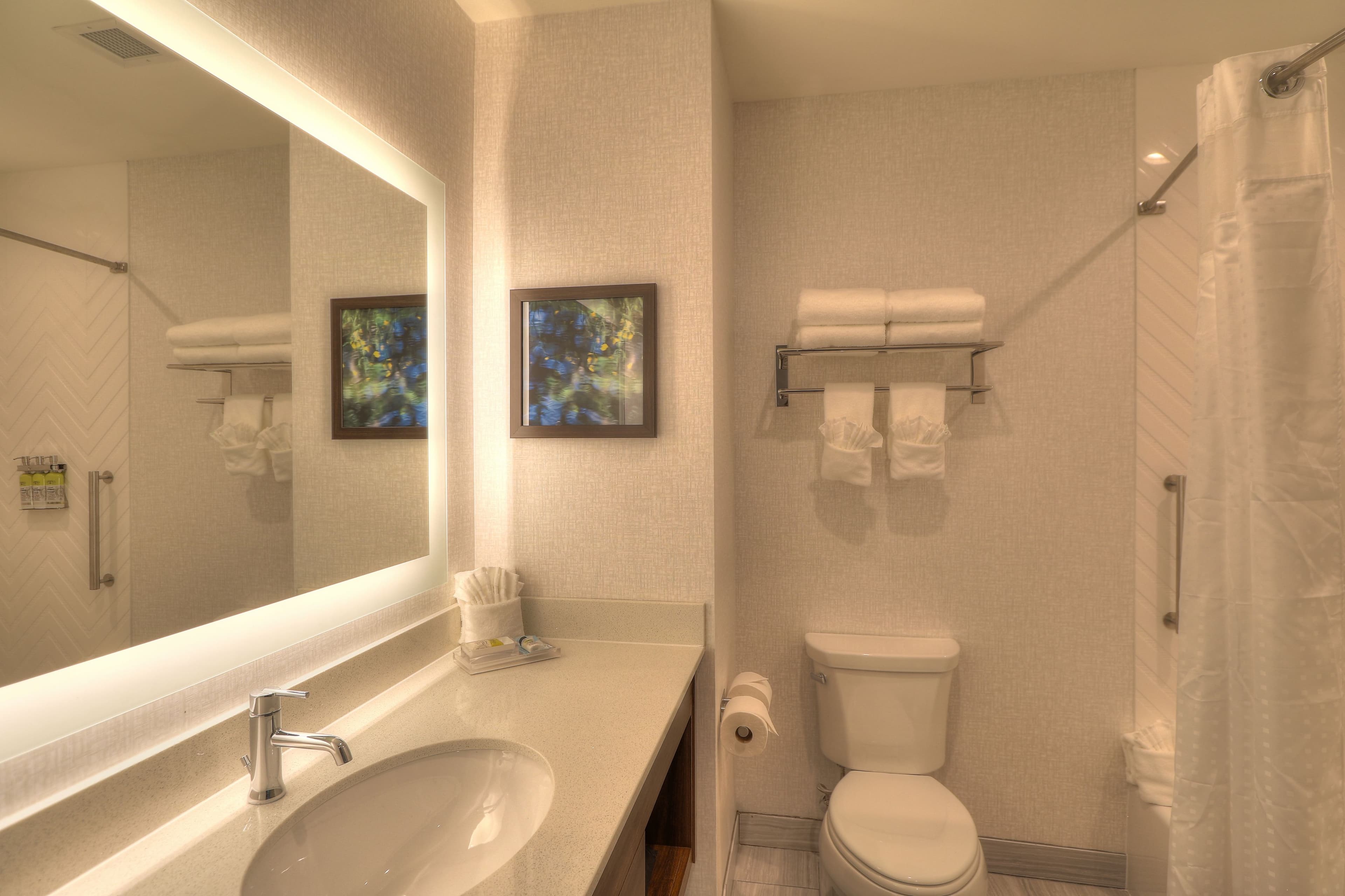 Holiday Inn & Suites Pigeon Forge Convention Center — 9