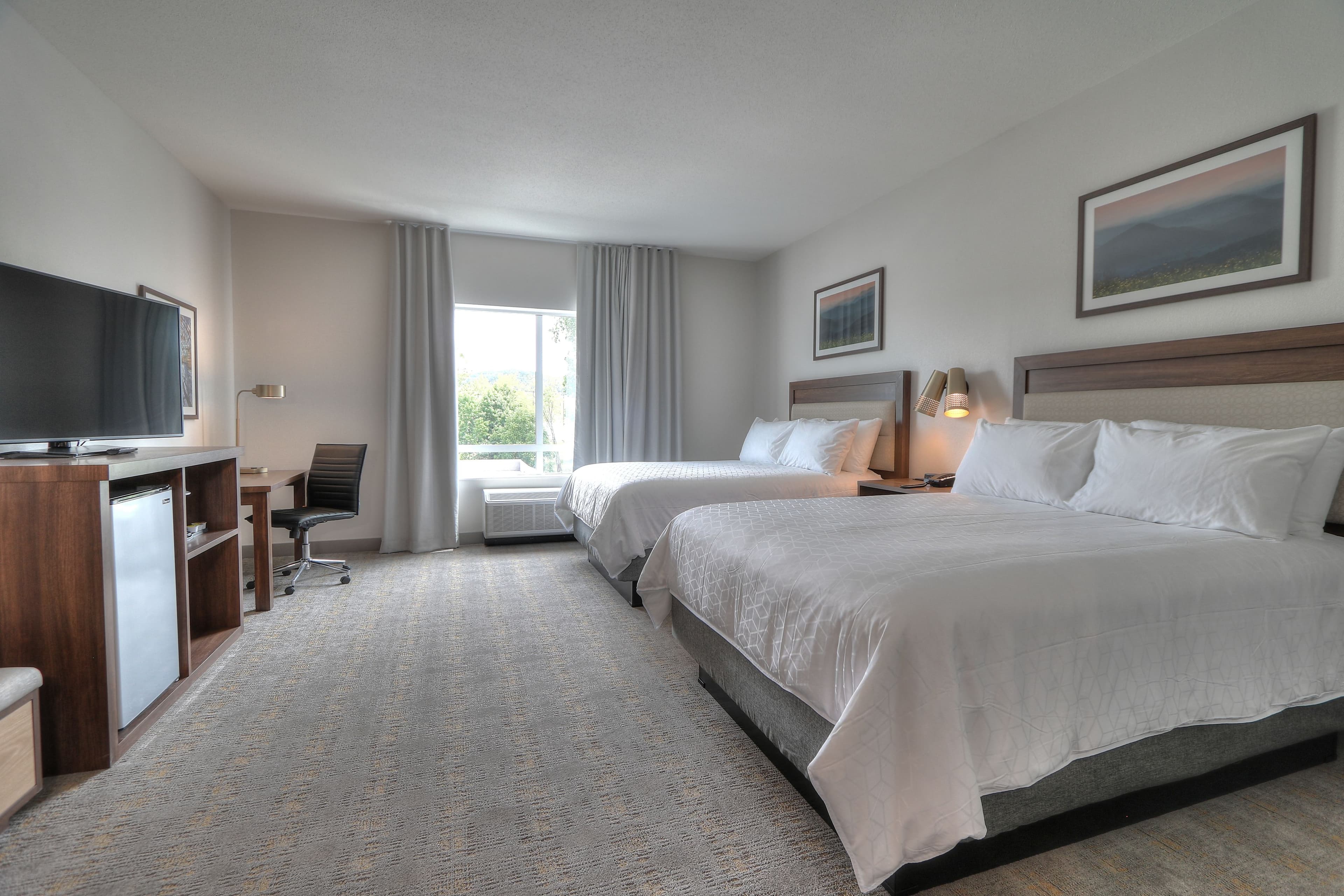 Holiday Inn & Suites Pigeon Forge Convention Center — 11