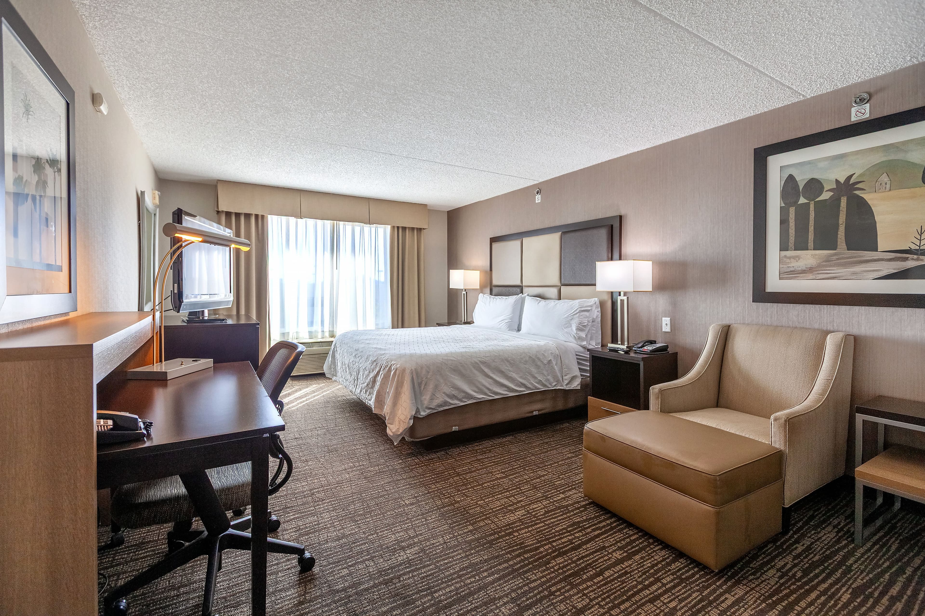 Holiday Inn & Suites Scottsdale North - Airpark — 7