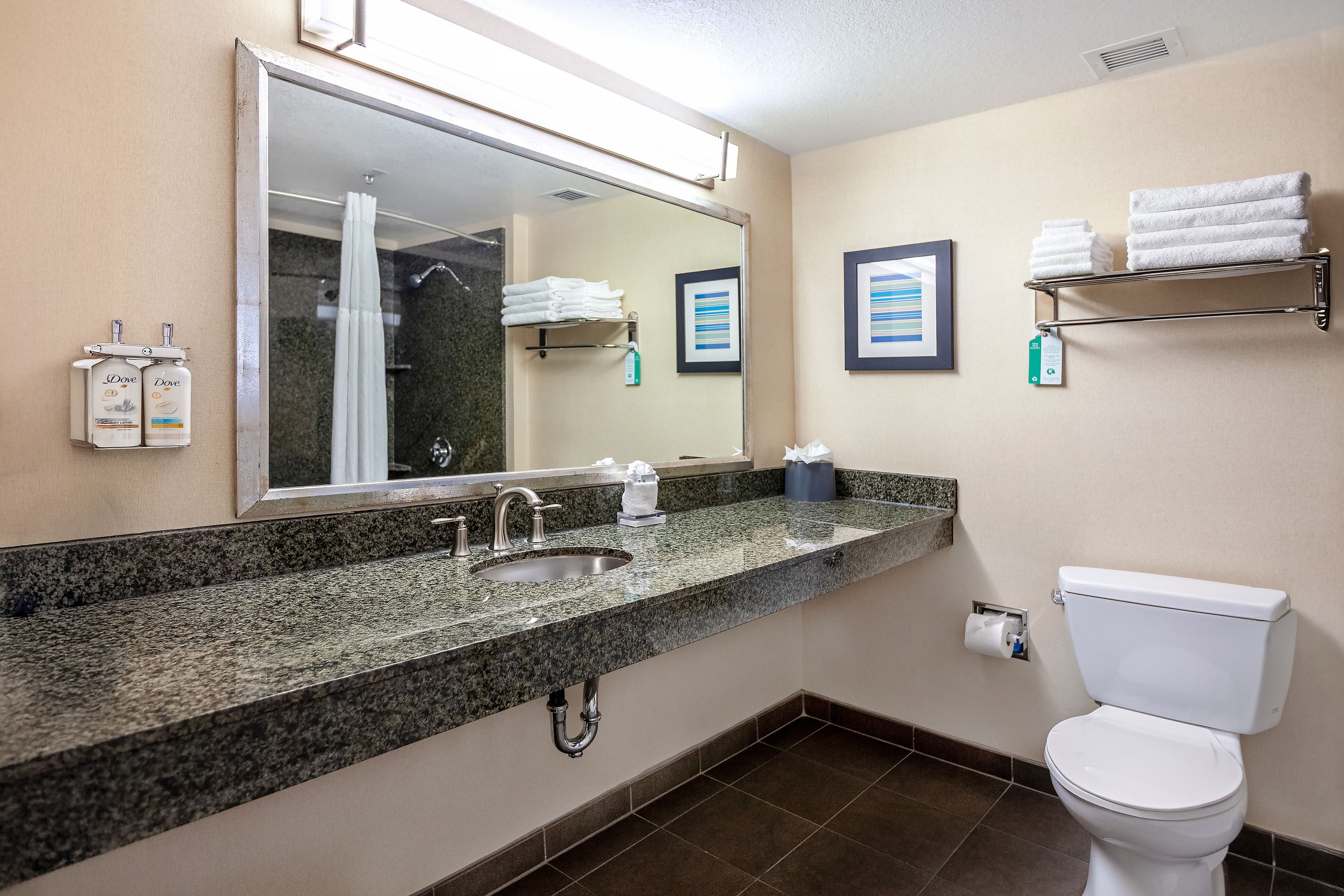 Holiday Inn & Suites Scottsdale North - Airpark — 10