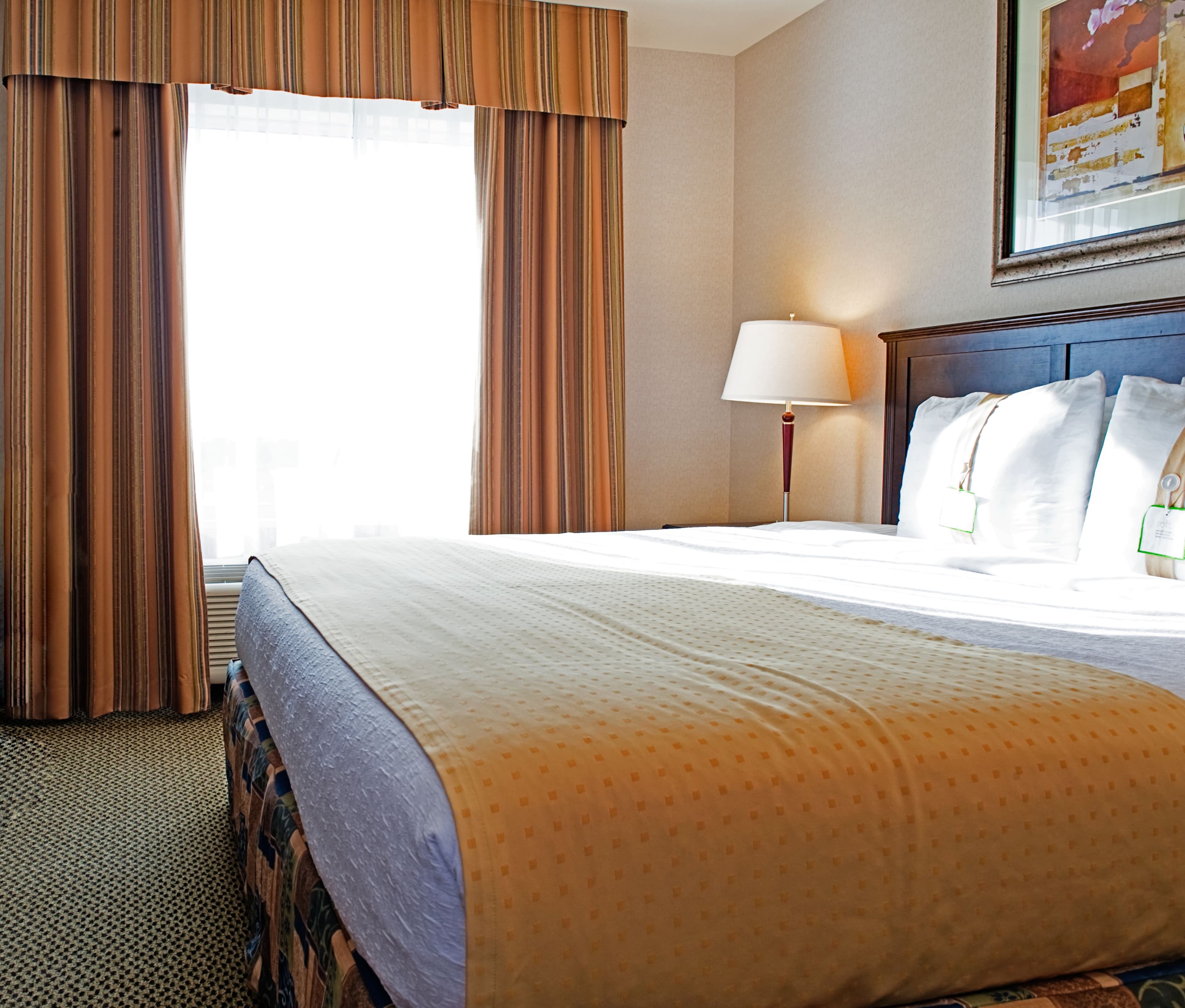 Holiday Inn & Suites West Edmonton — 4