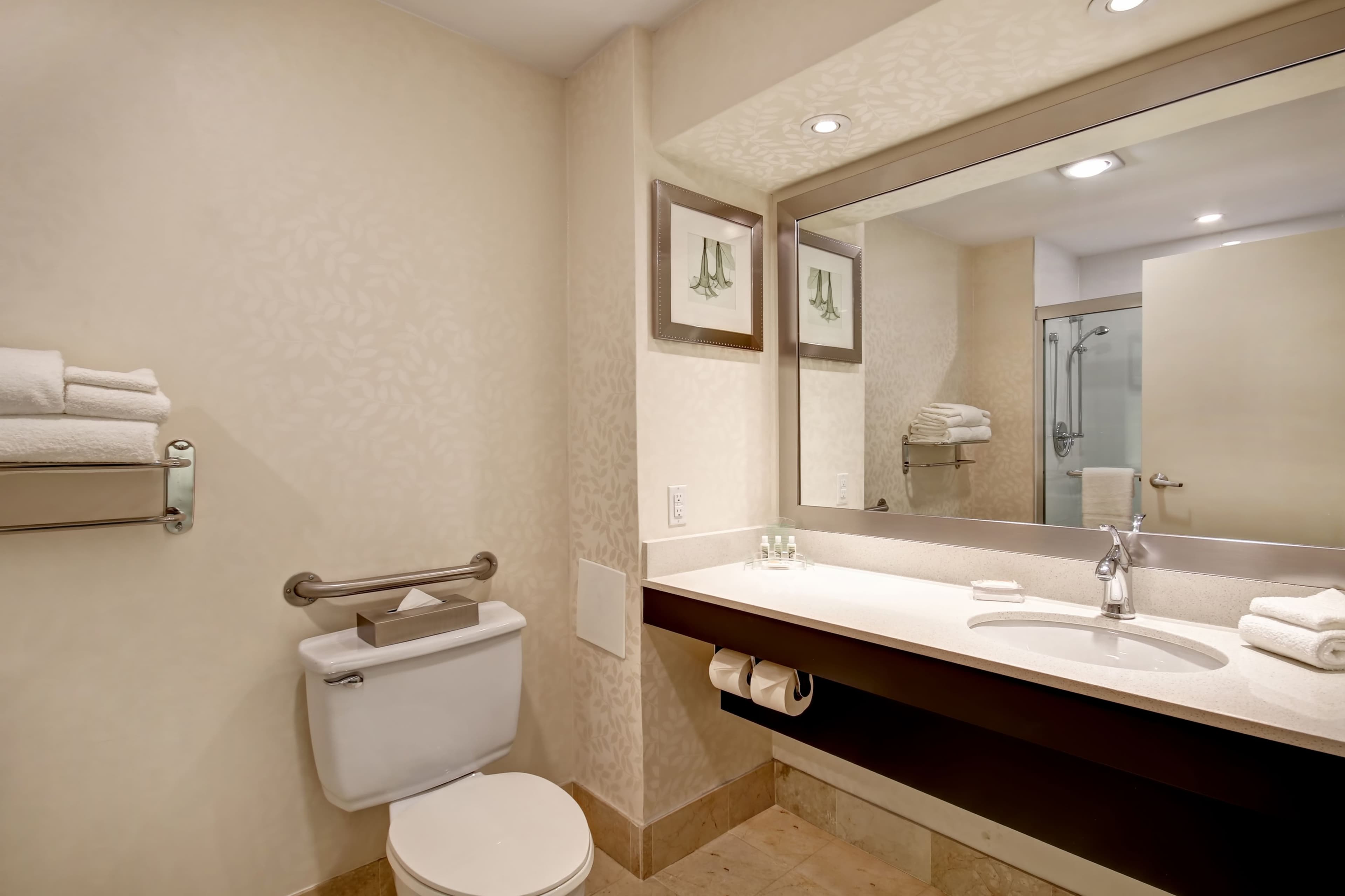 Holiday Inn & Suites Windsor (Ambassador Bridge) — 13