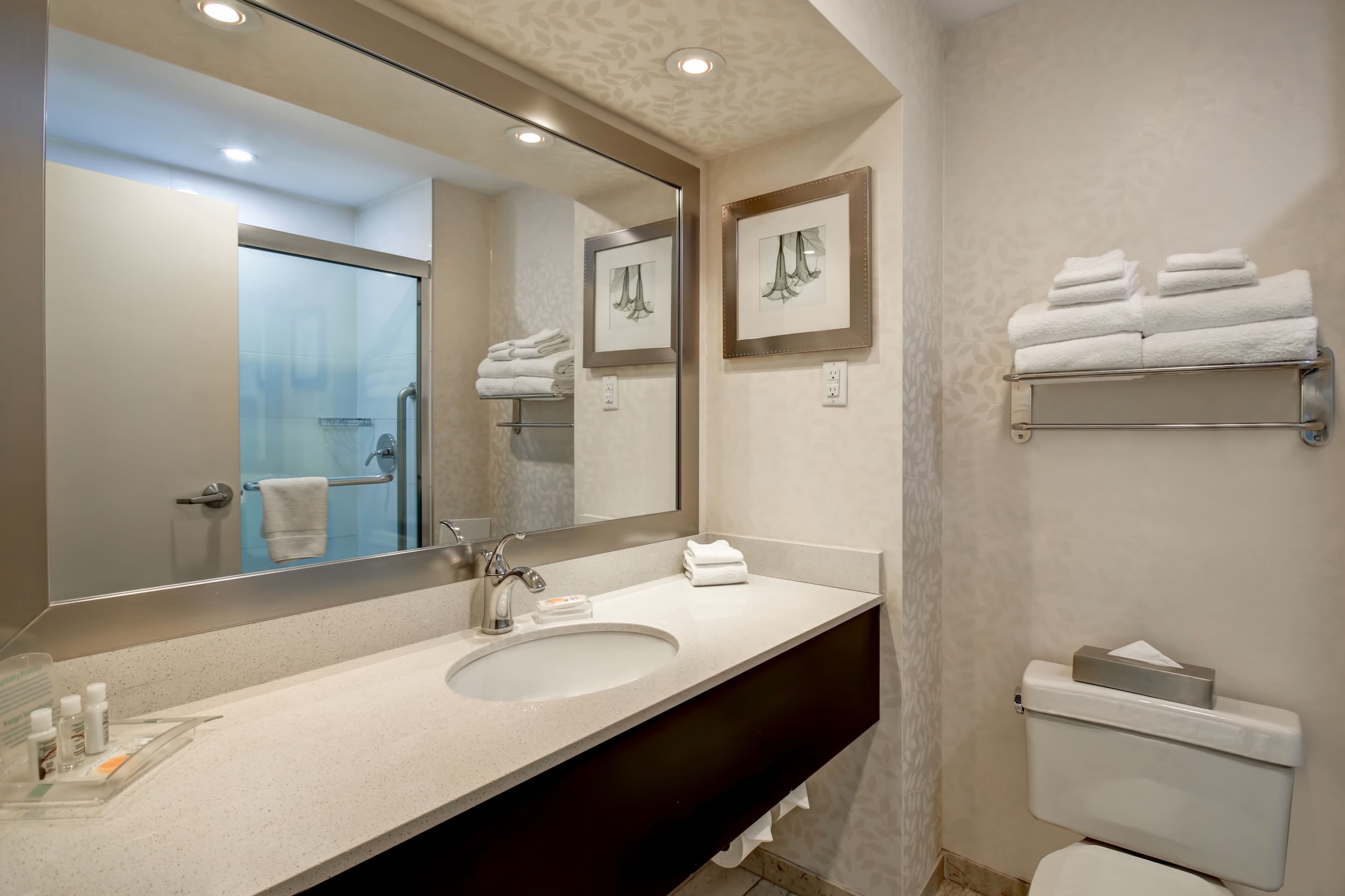 Holiday Inn & Suites Windsor (Ambassador Bridge) — 16