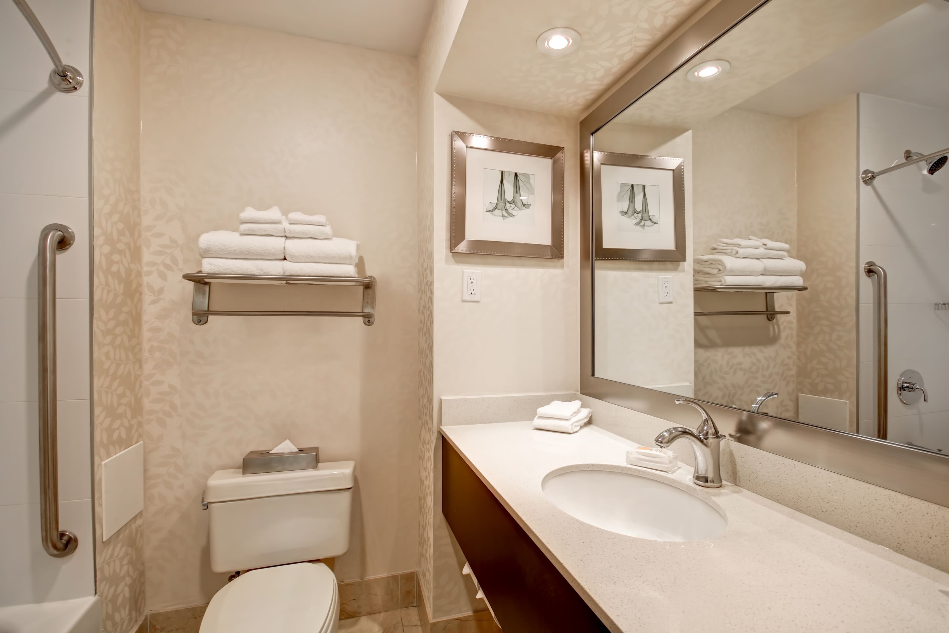 Holiday Inn & Suites Windsor (Ambassador Bridge) — 8