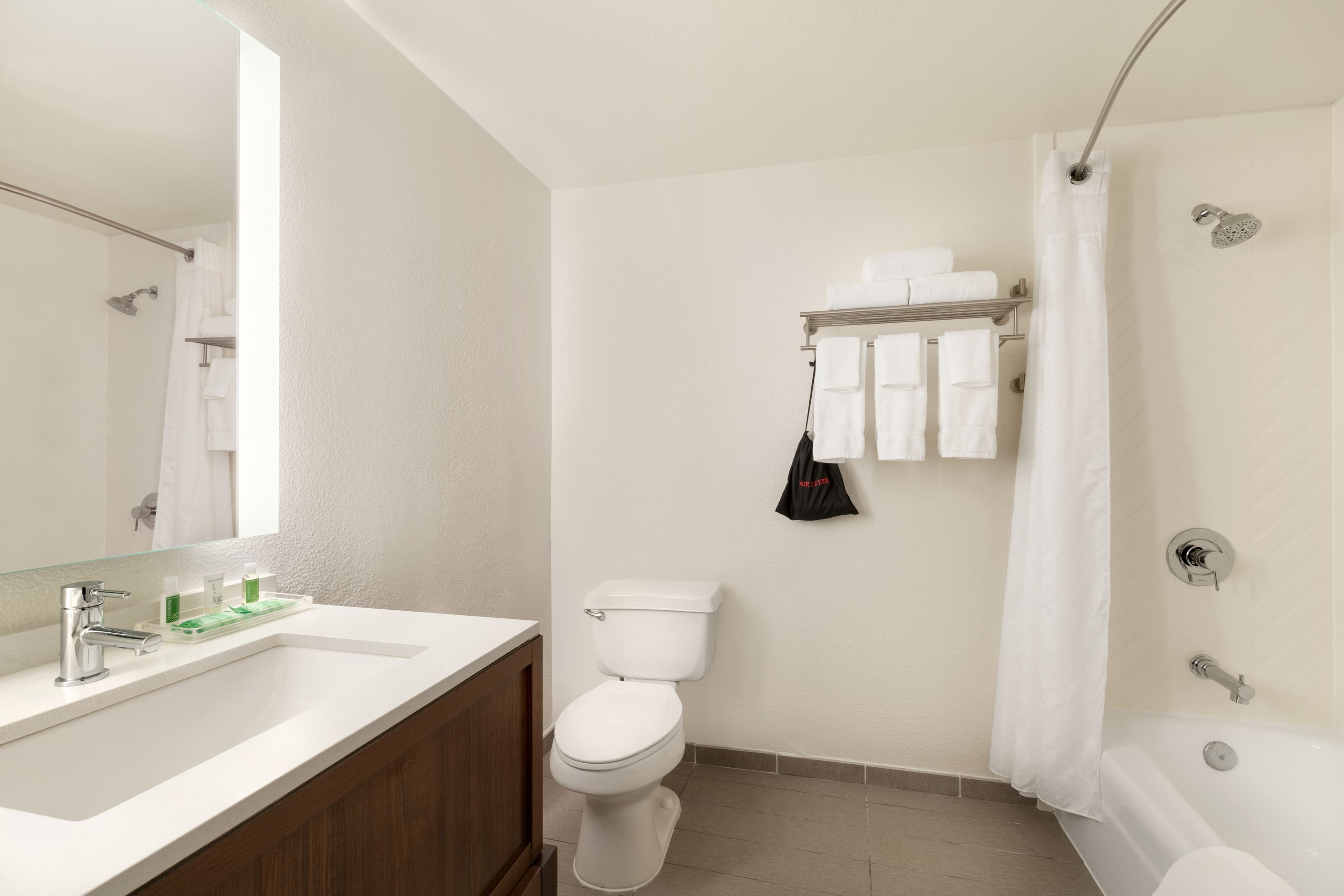 Holiday Inn Houston-Intercontinental Arpt — 10