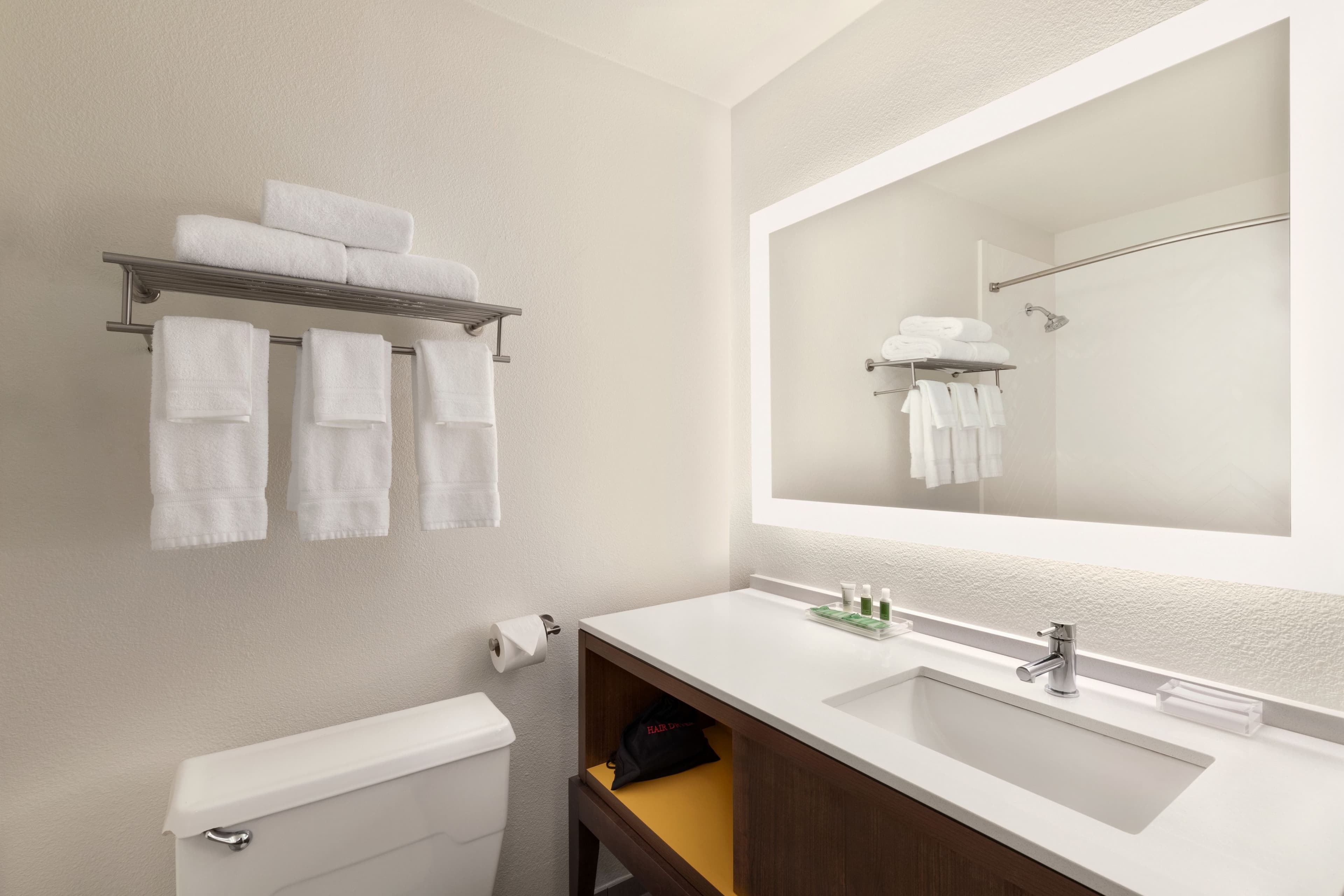 Holiday Inn Houston-Intercontinental Arpt - Image 4