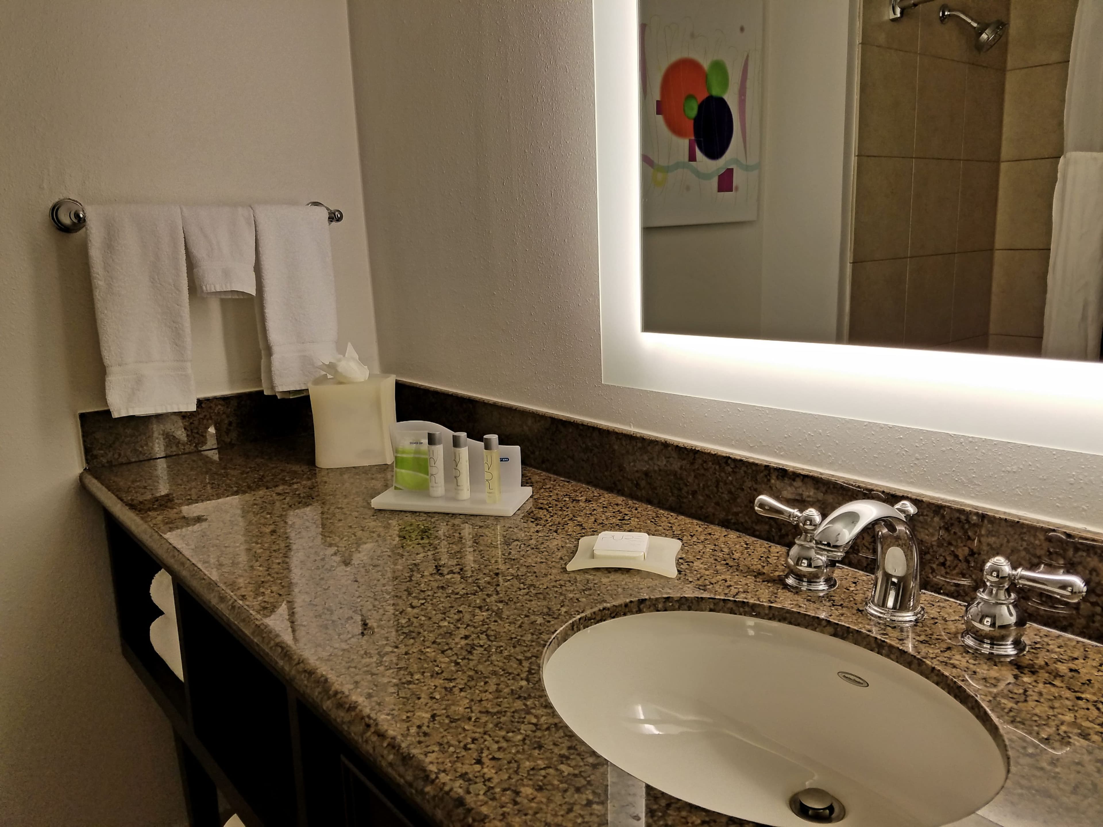 Holiday Inn Irving - Las Colinas - Image 4