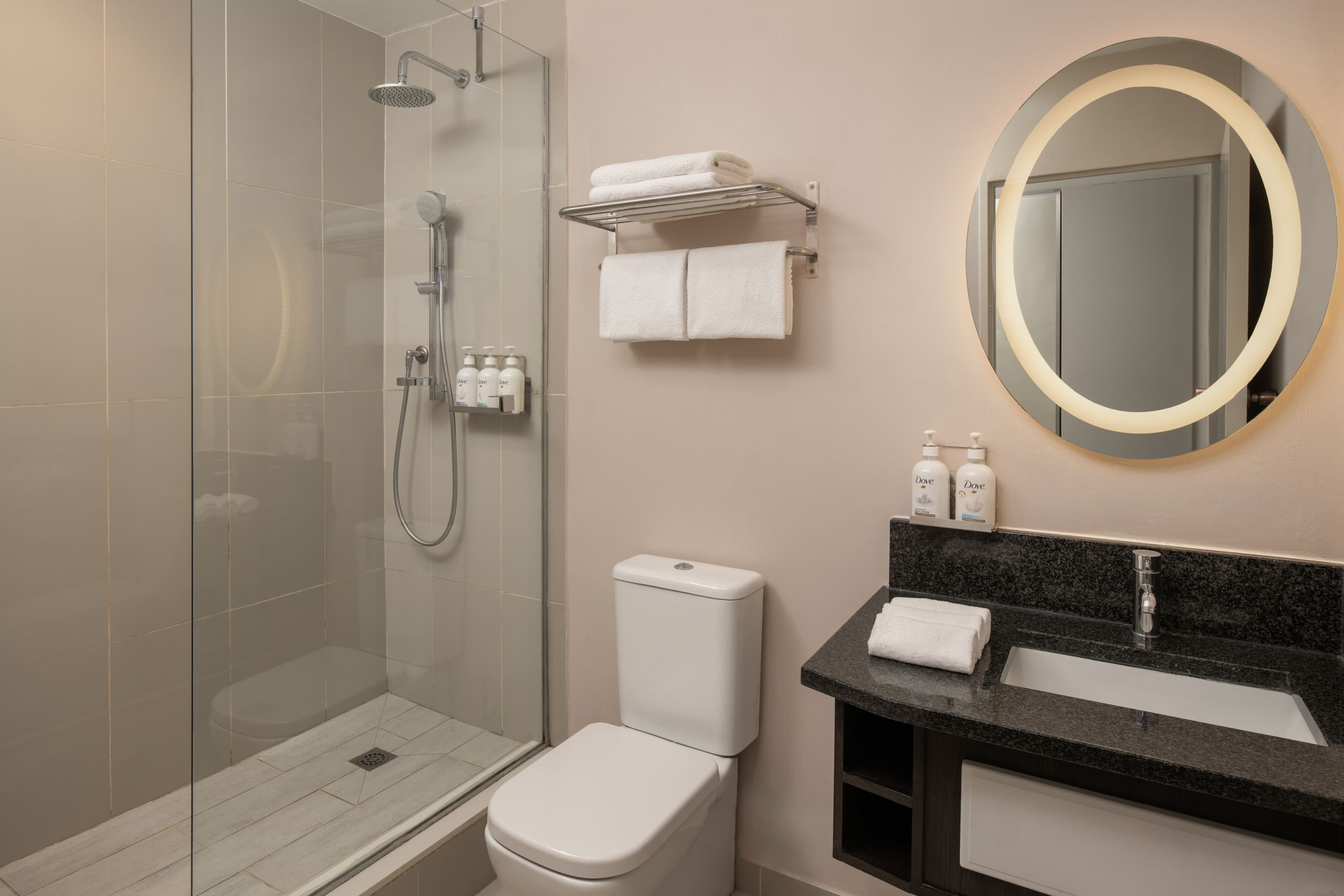 Holiday Inn Johannesburg Sunnyside Park - Image 3