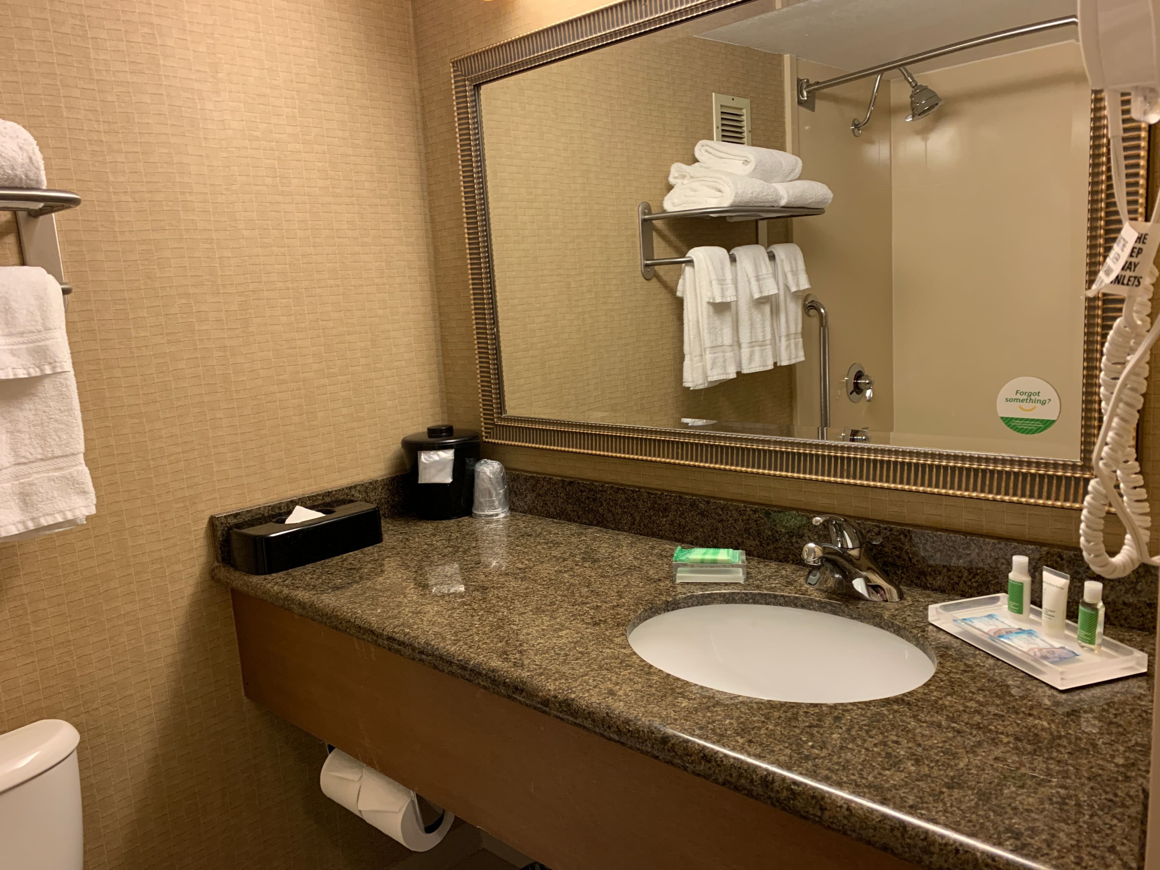 Holiday Inn Johnstown-Downtown — 6