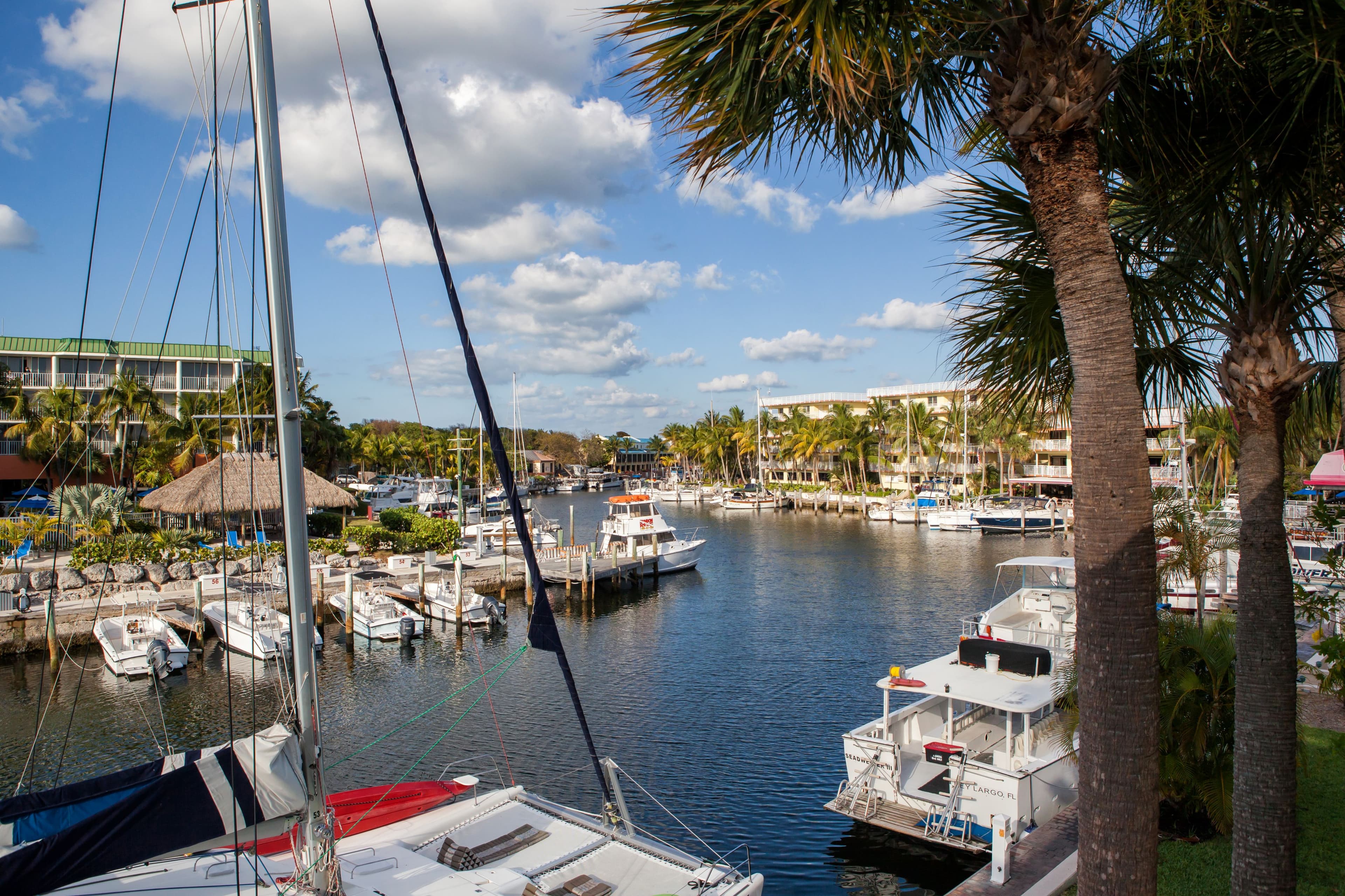 Holiday Inn Key Largo - Image 1