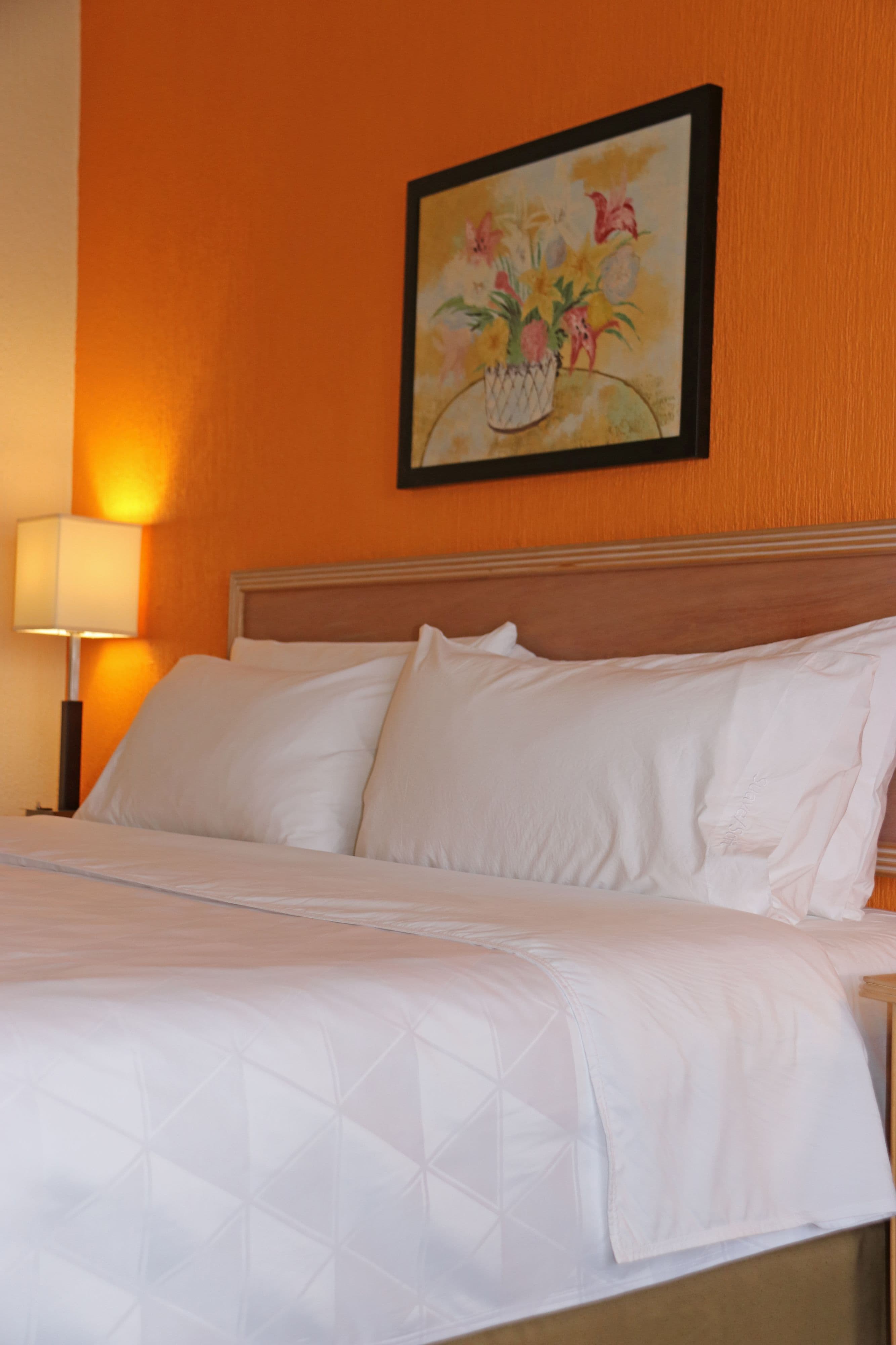 Holiday Inn La Piedad - Image 3