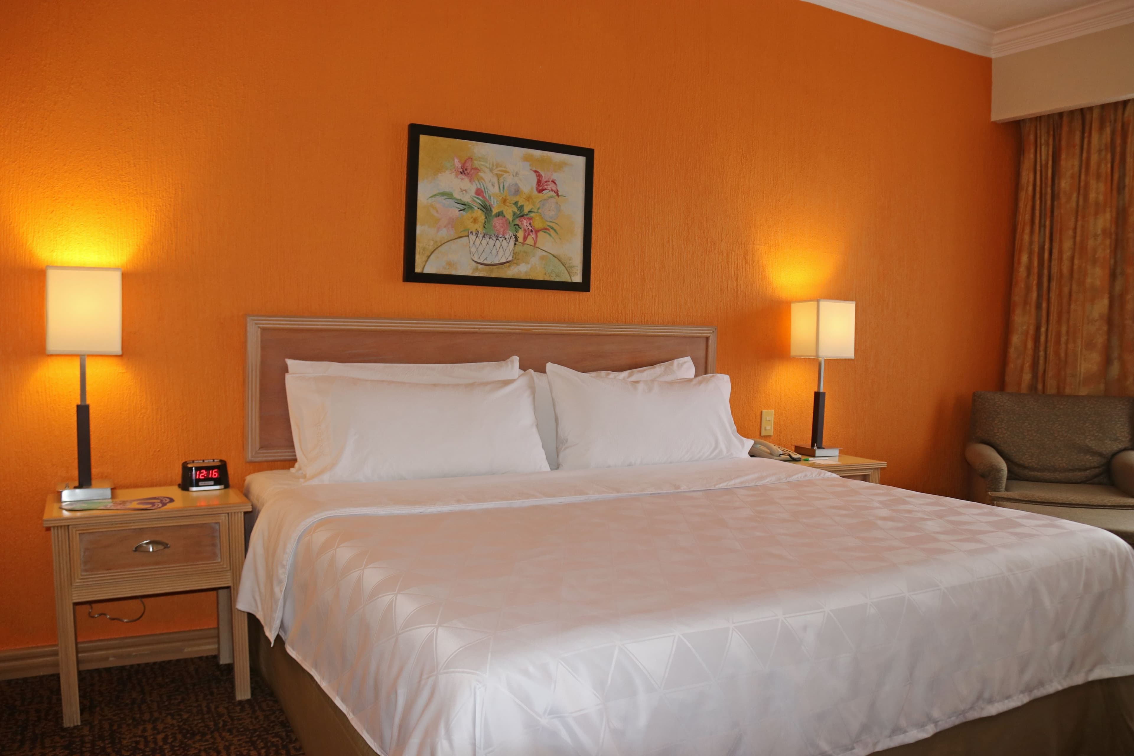 Holiday Inn La Piedad - Image 2