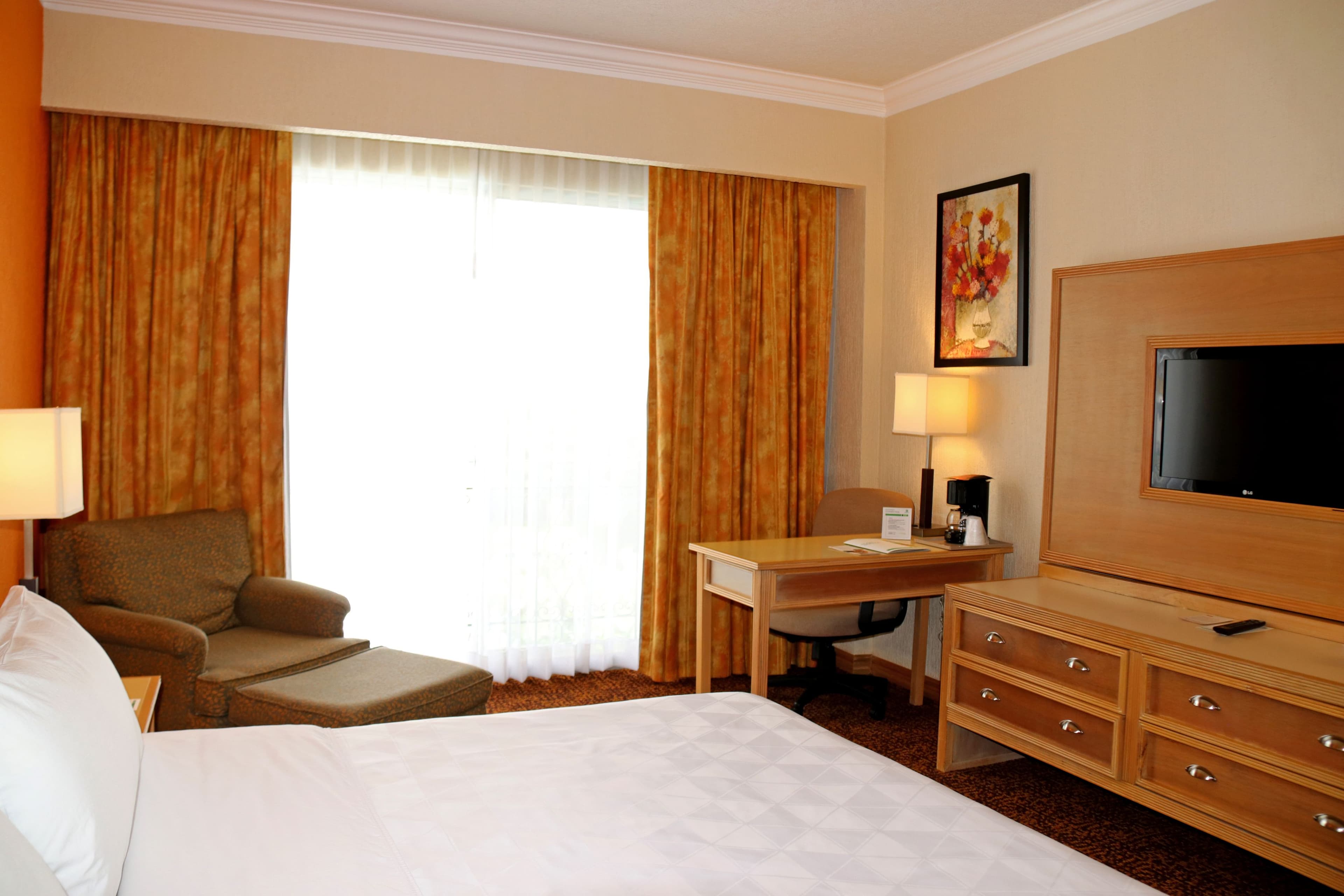 Holiday Inn La Piedad - Image 4