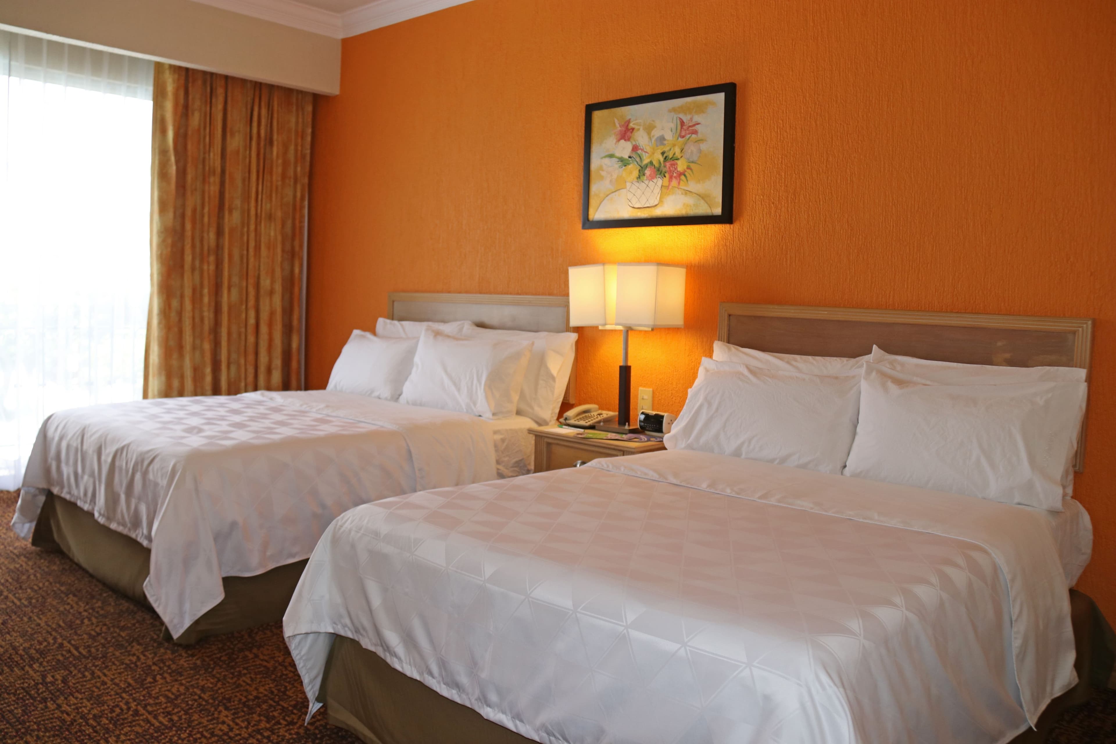 Holiday Inn La Piedad — 7