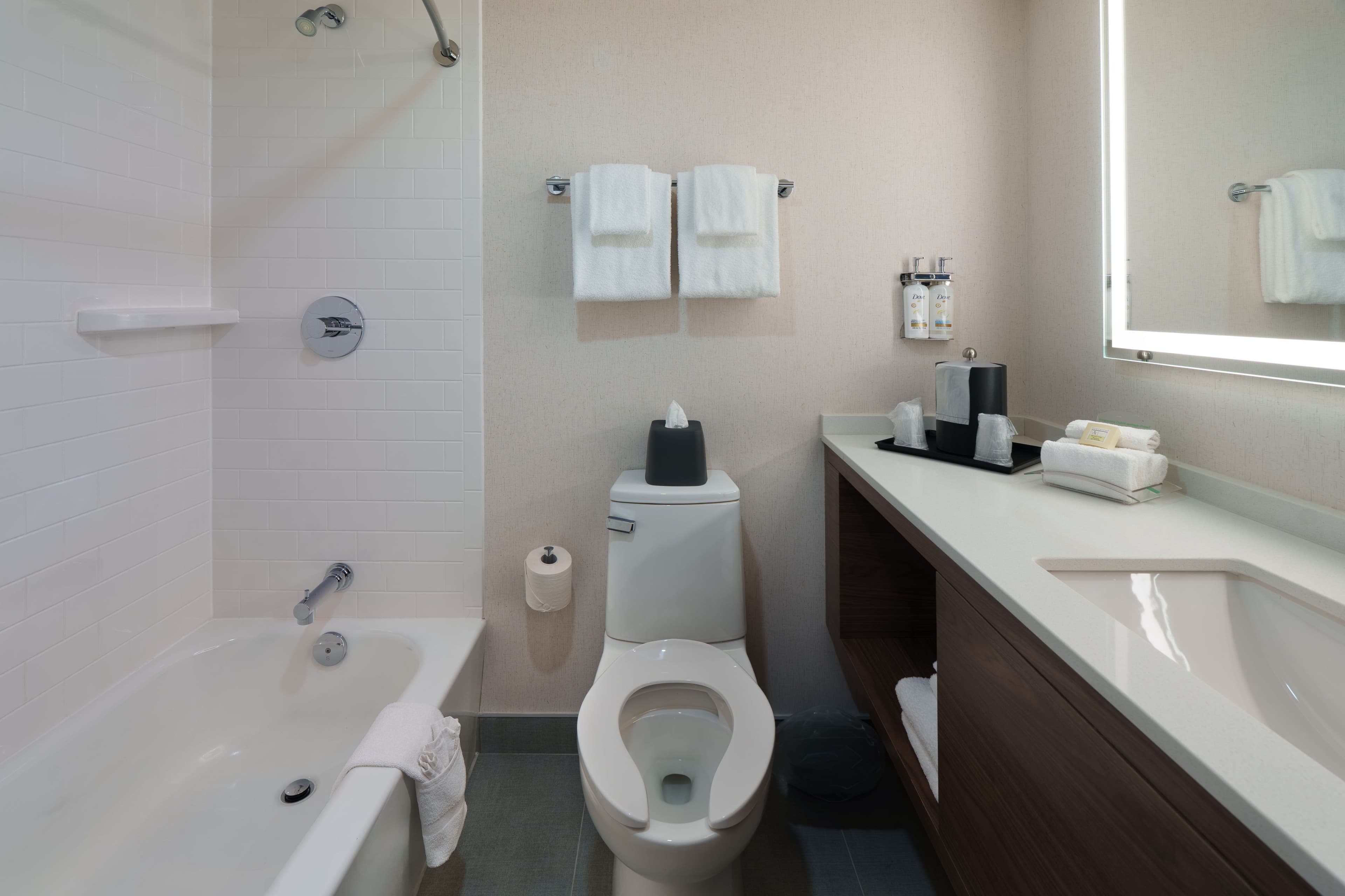 Holiday Inn Laval - Montreal — 6