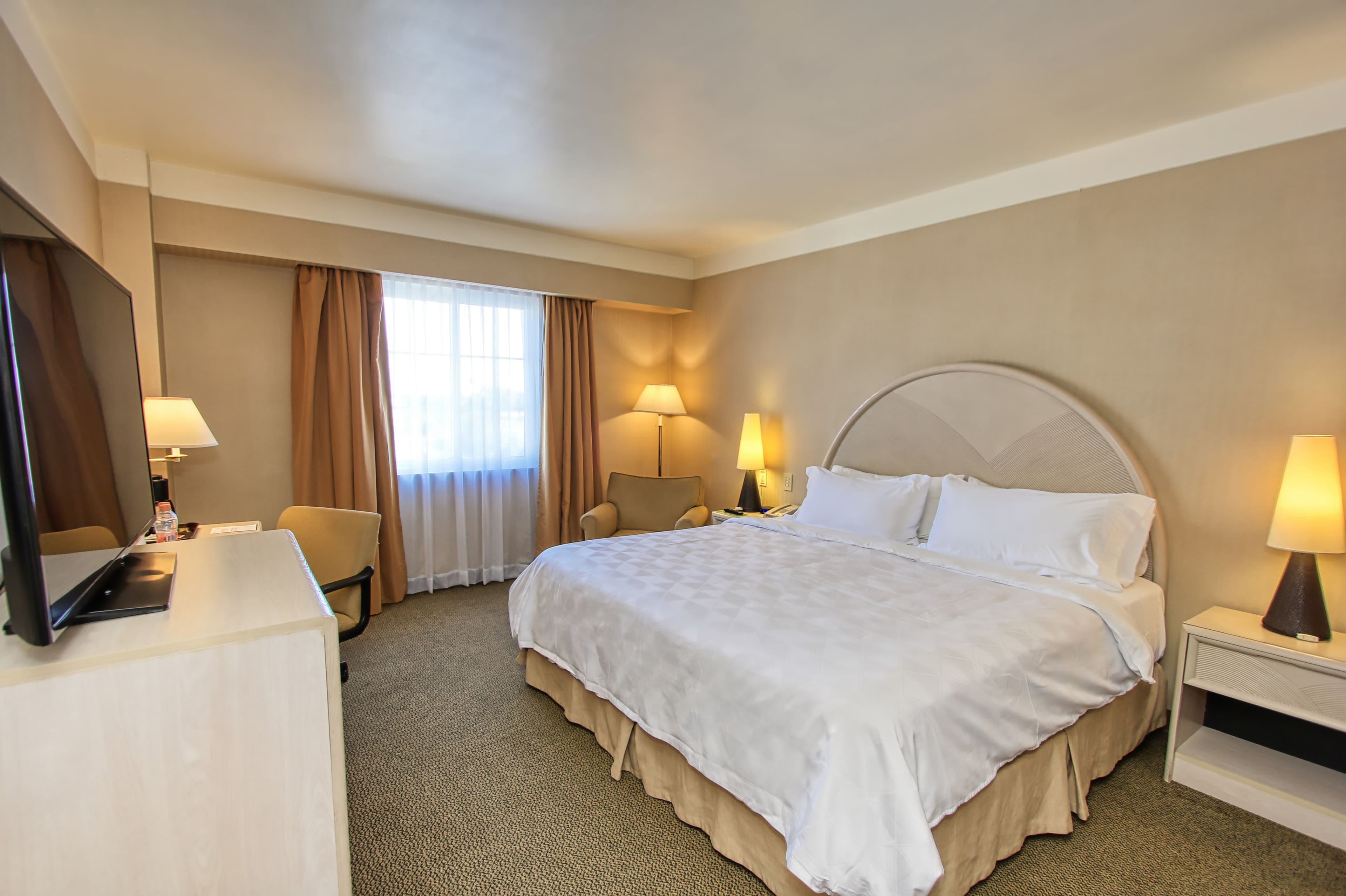 Holiday Inn Leon-Convention Center — 9