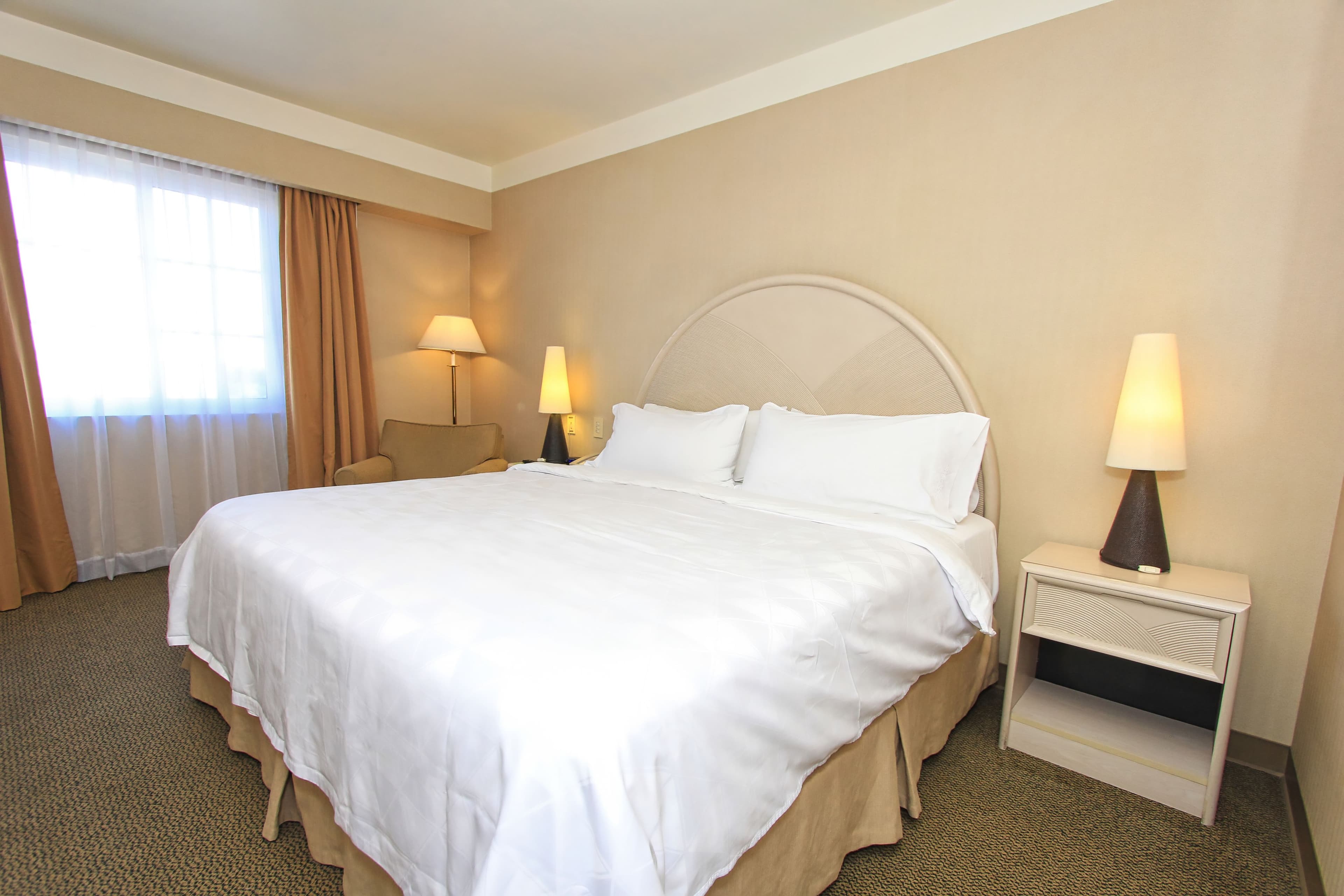 Holiday Inn Leon-Convention Center — 8