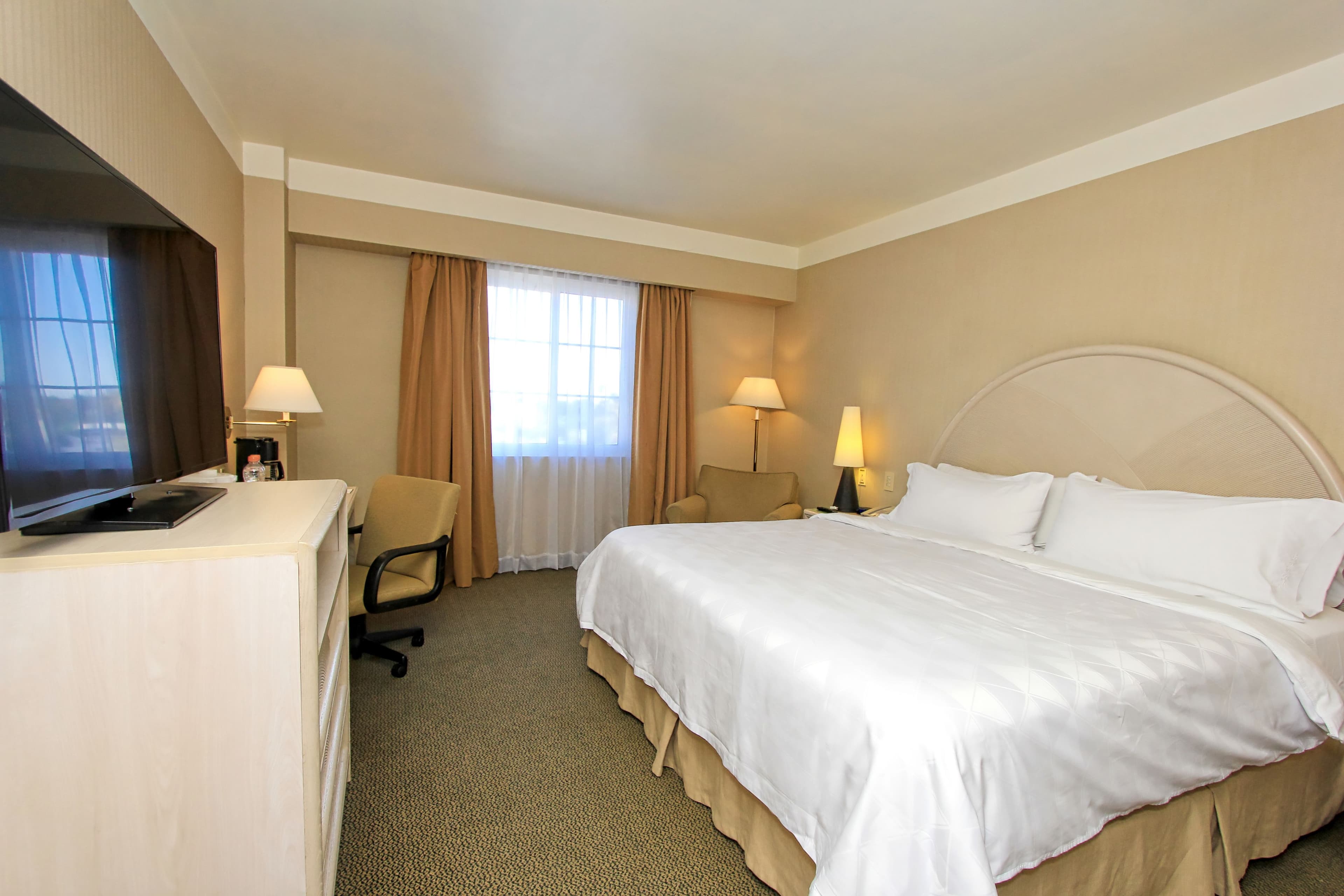 Holiday Inn Leon-Convention Center — 10