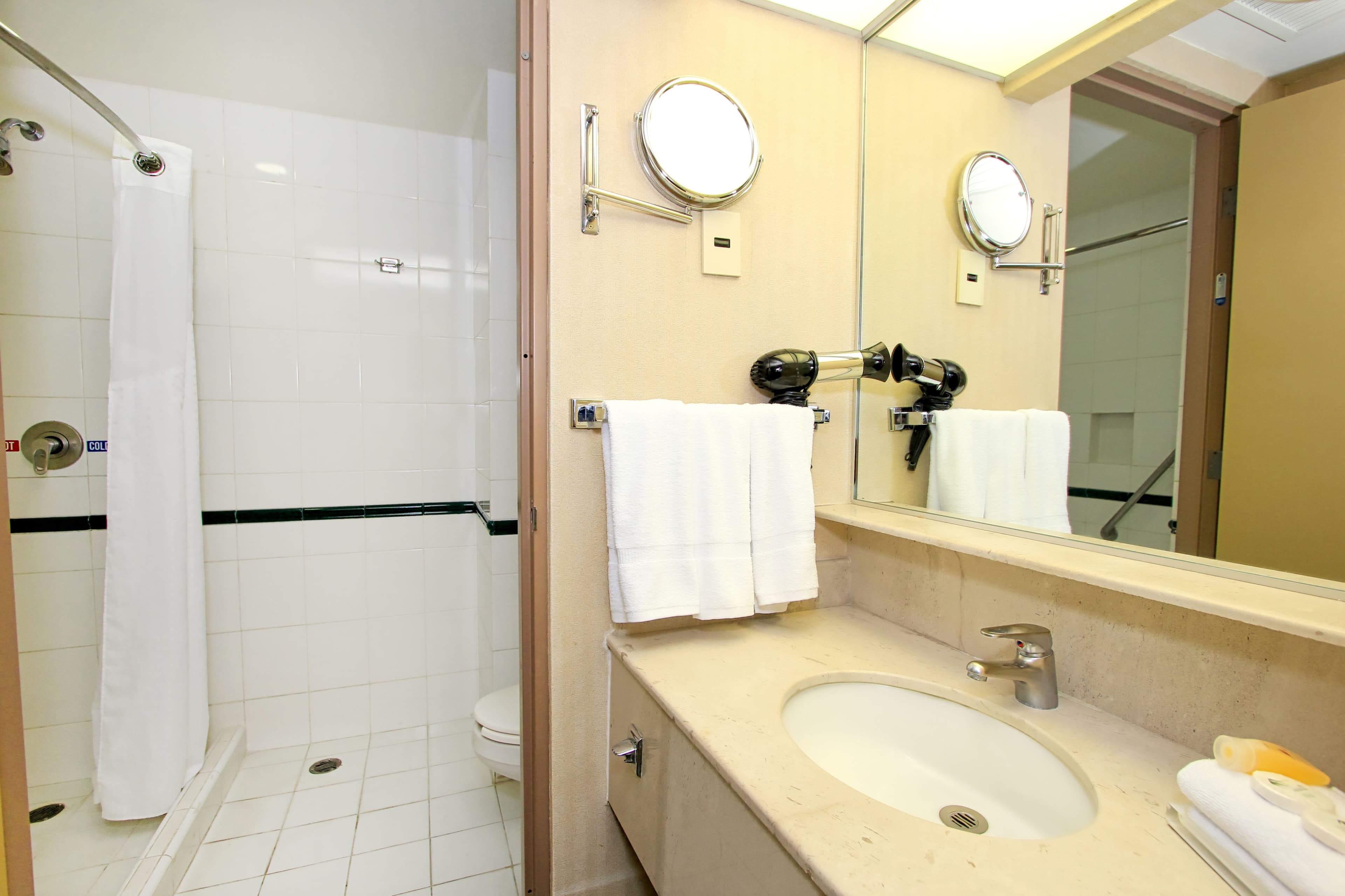 Holiday Inn Leon-Convention Center — 17