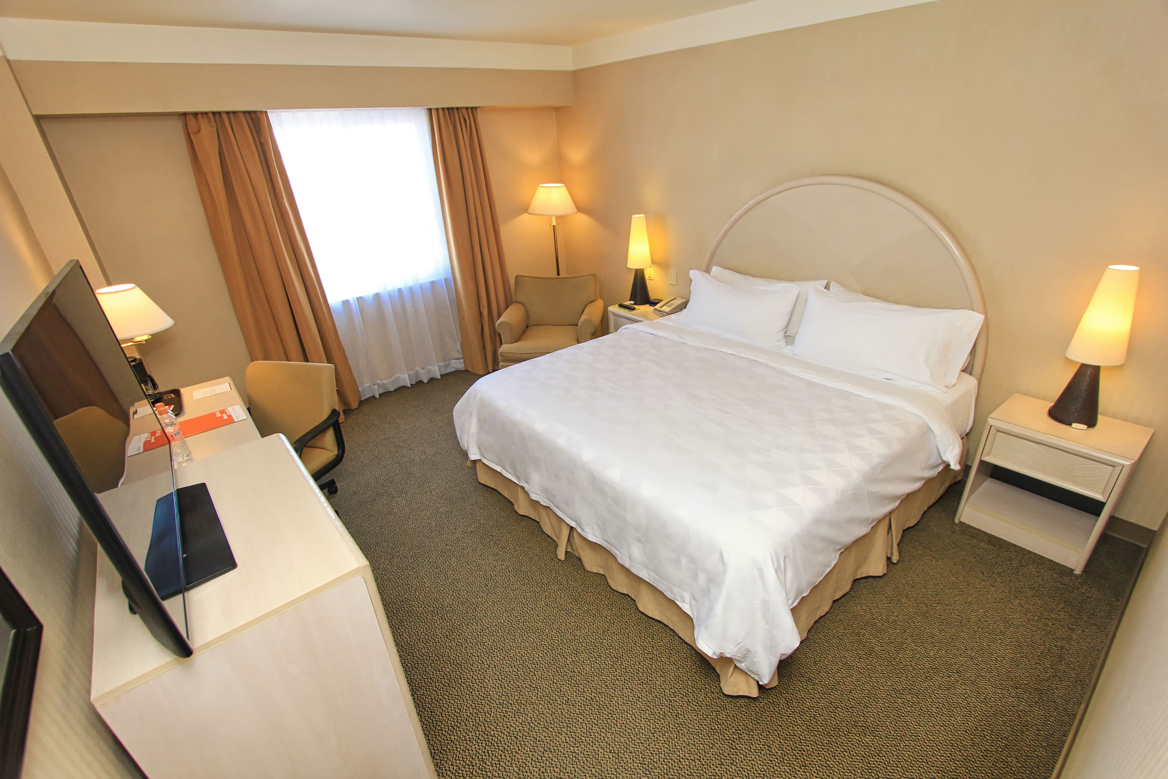 Holiday Inn Leon-Convention Center — 11