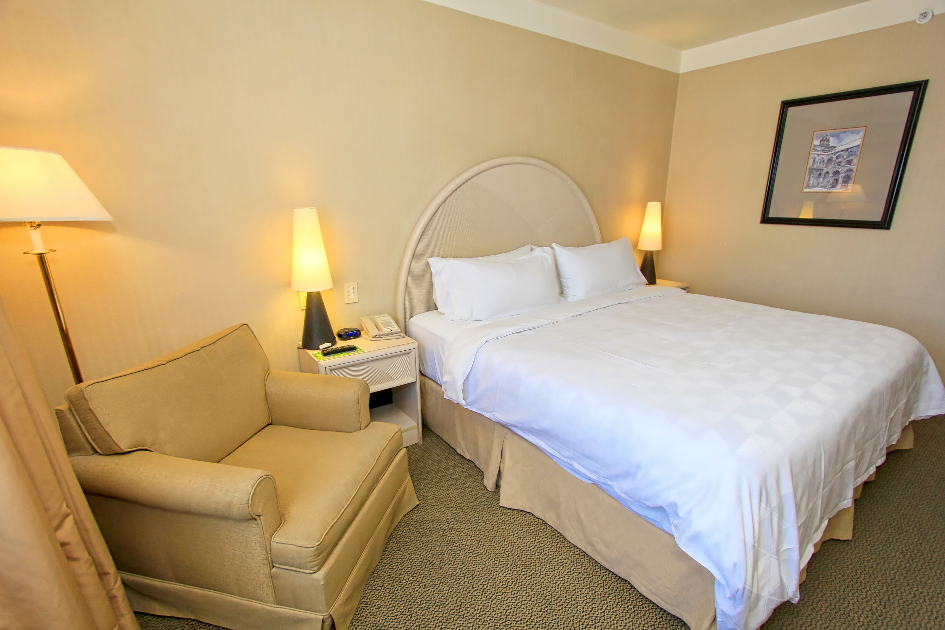 Holiday Inn Leon-Convention Center — 13