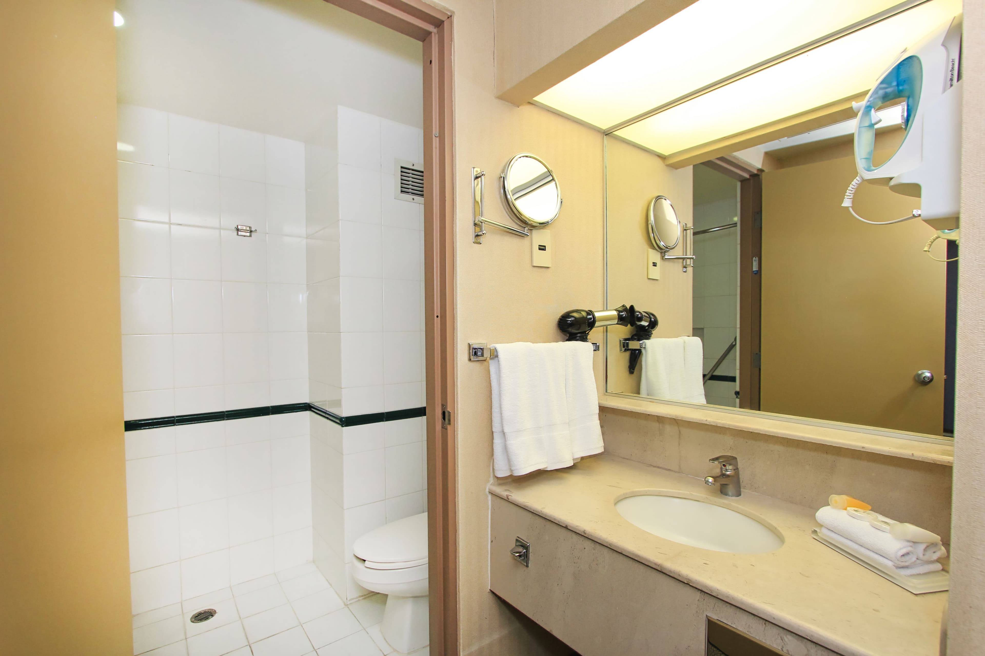 Holiday Inn Leon-Convention Center — 16