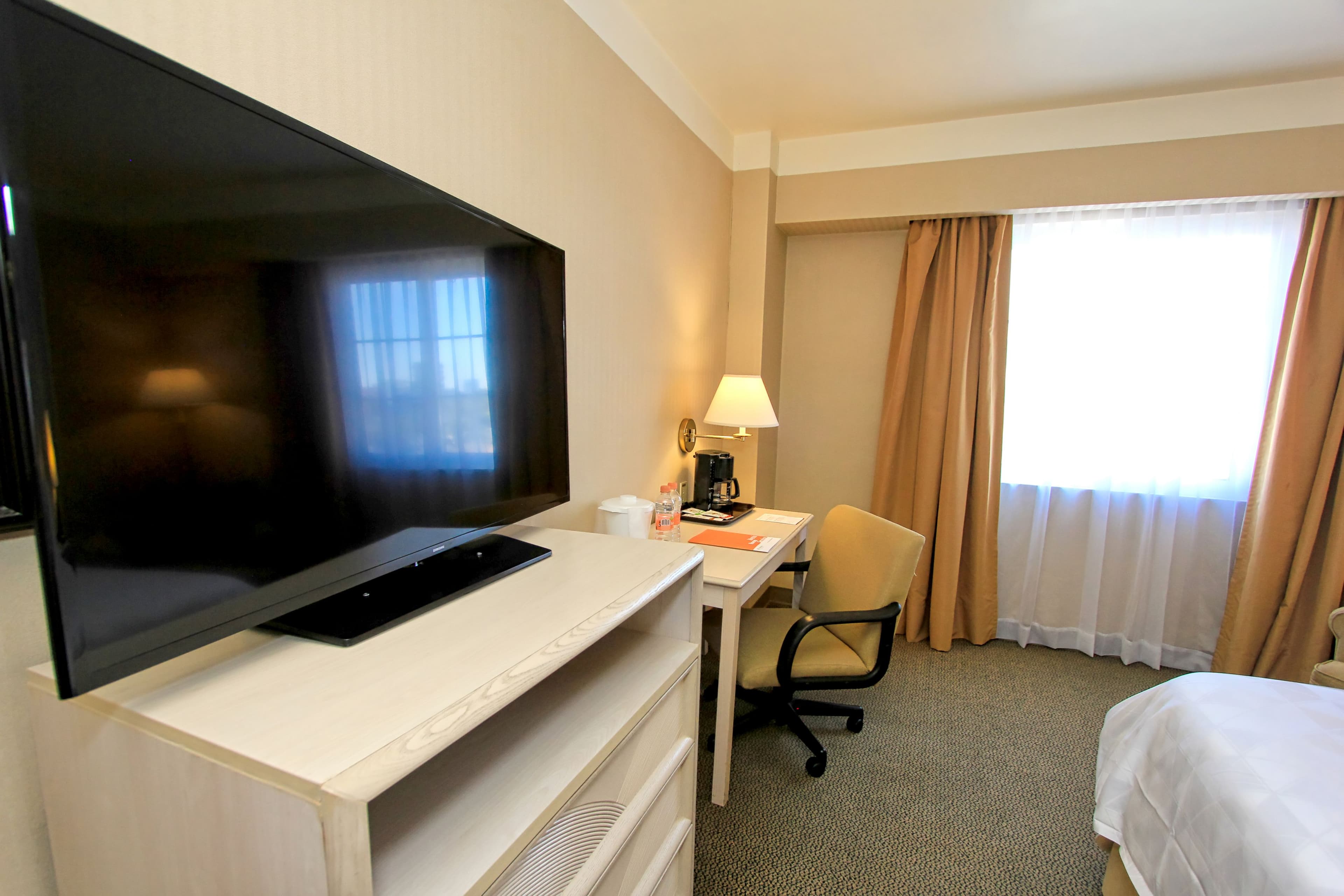 Holiday Inn Leon-Convention Center — 14