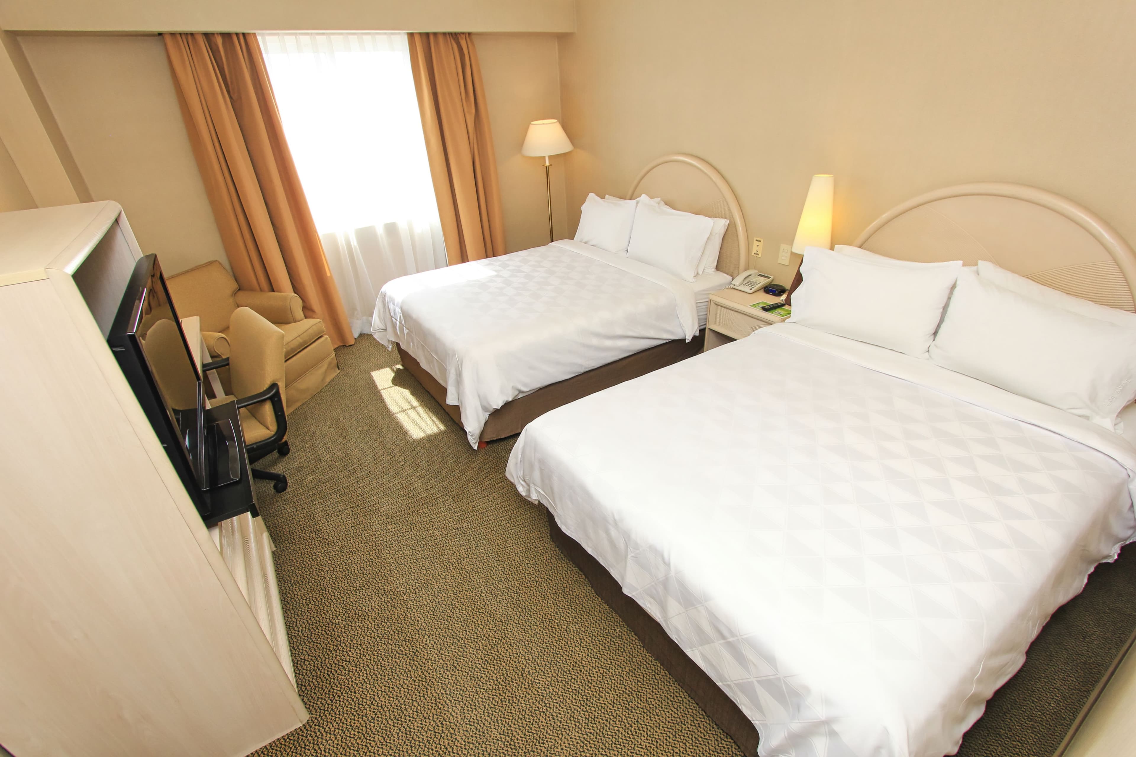 Holiday Inn Leon-Convention Center — 34