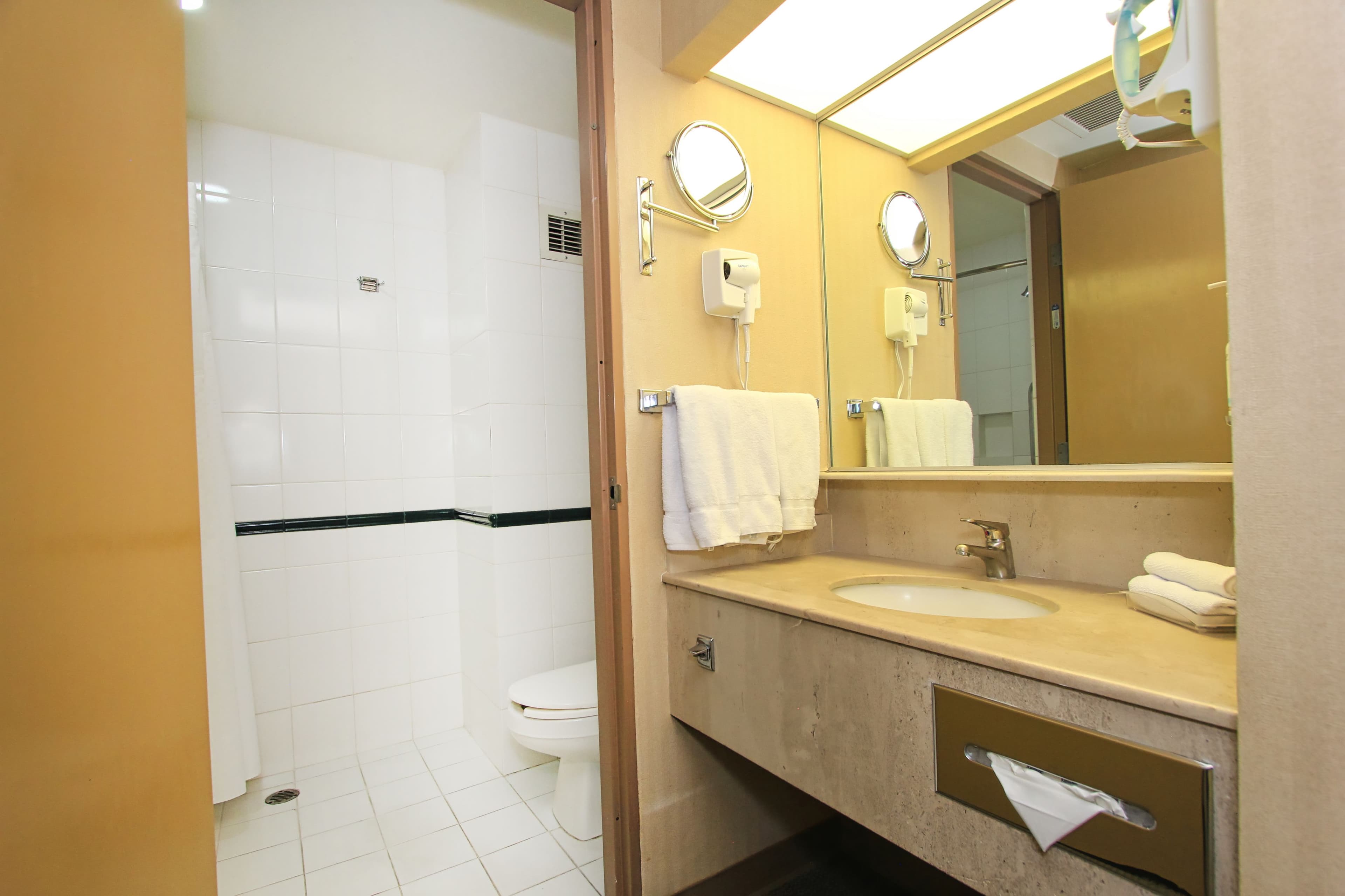 Holiday Inn Leon-Convention Center - Image 4