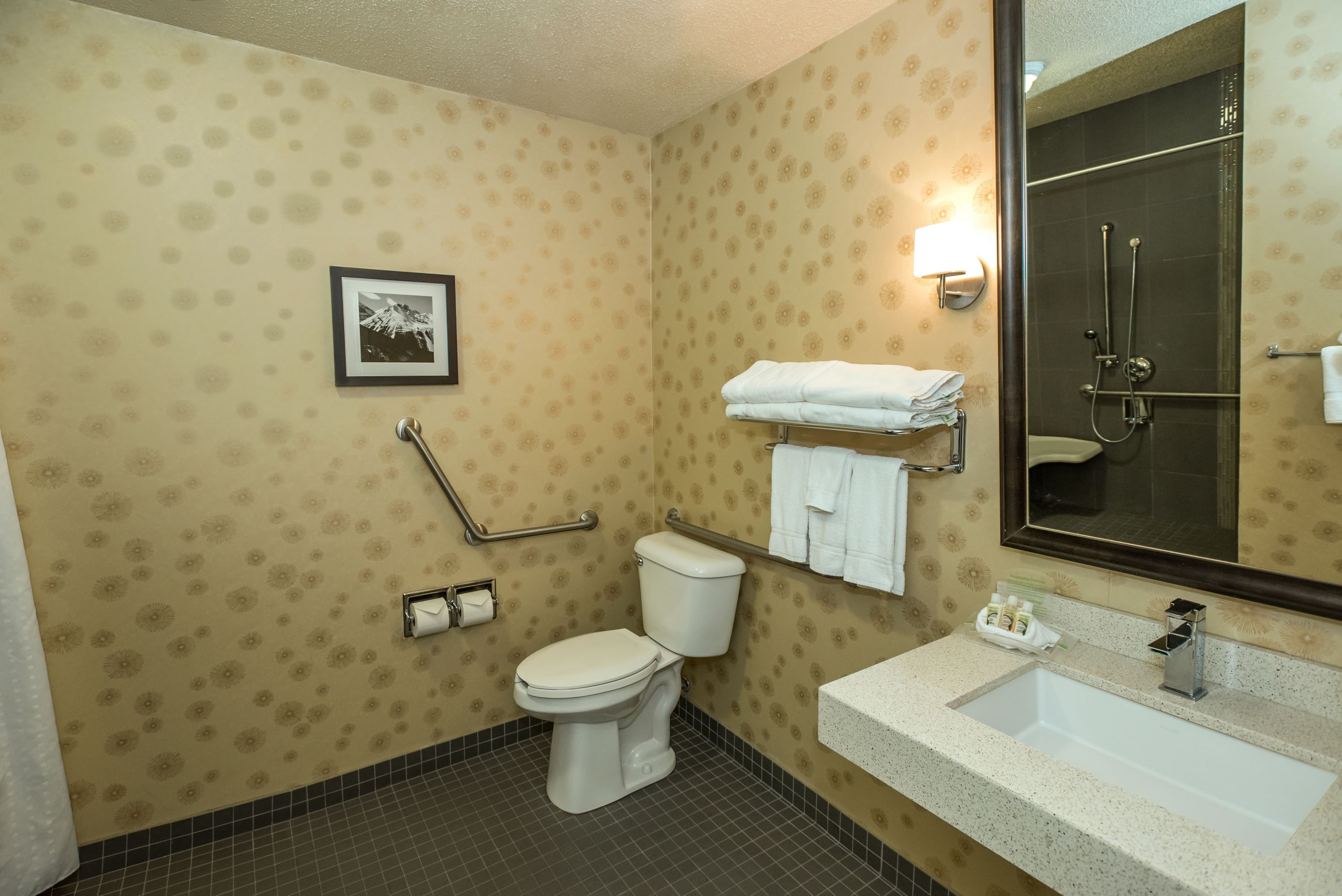 Holiday Inn Lethbridge — 10