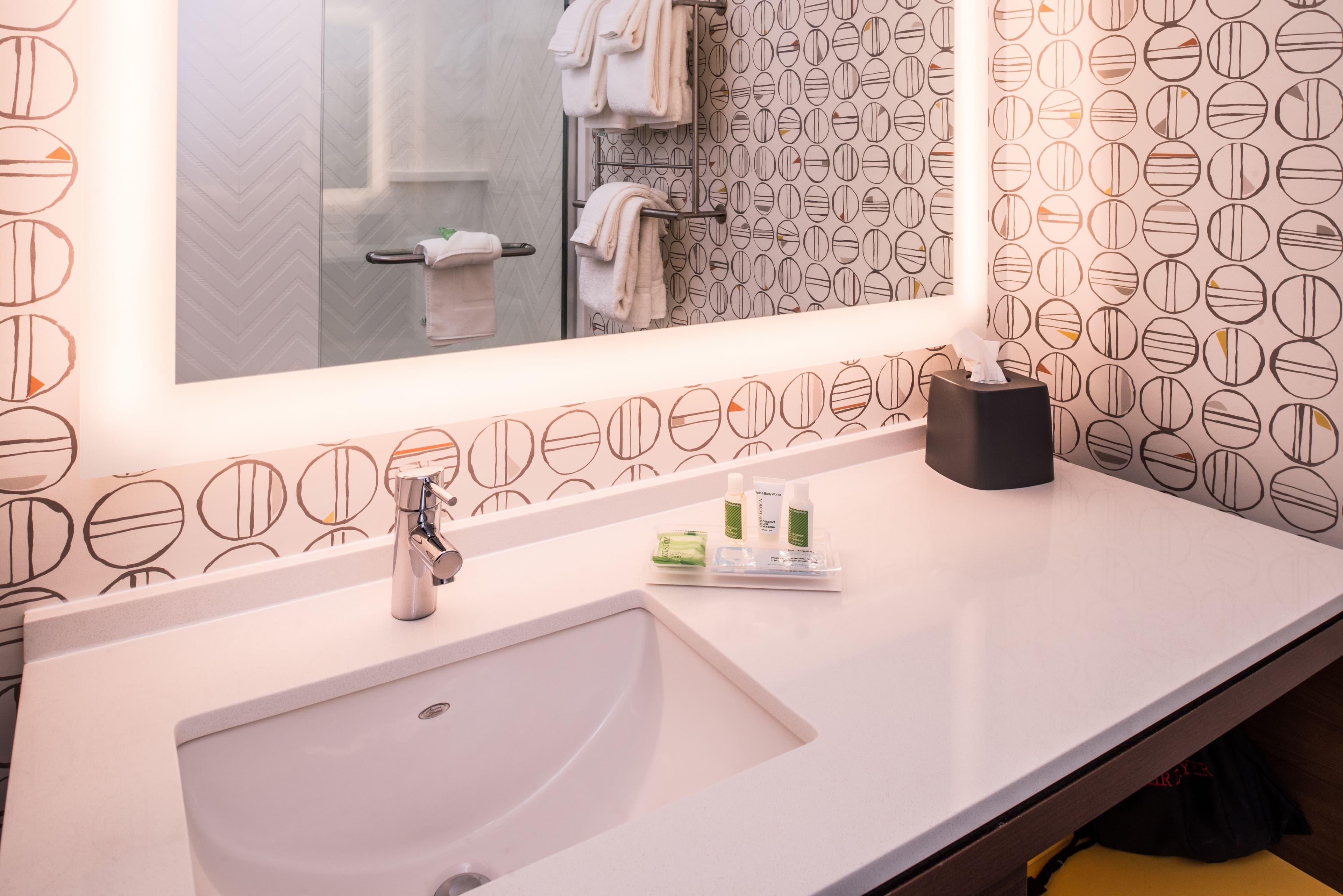 Holiday Inn Detroit Northwest - Livonia — 15