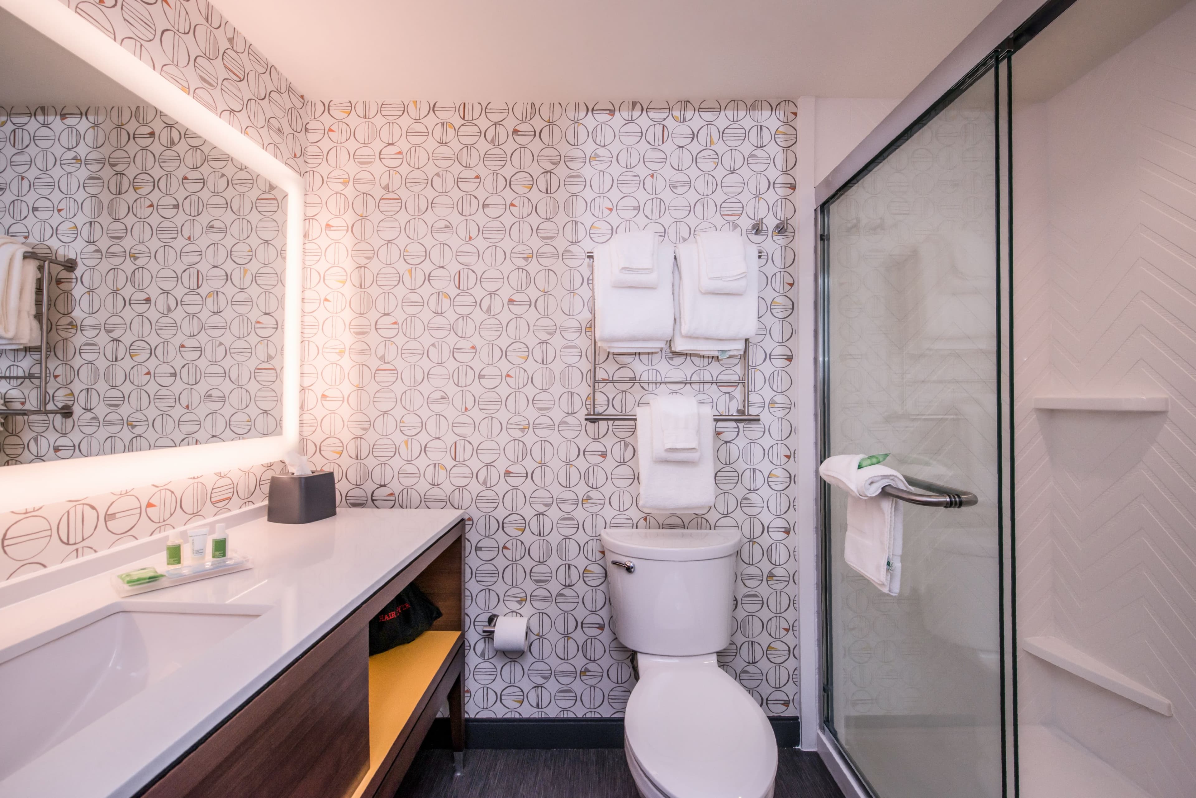 Holiday Inn Detroit Northwest - Livonia — 18
