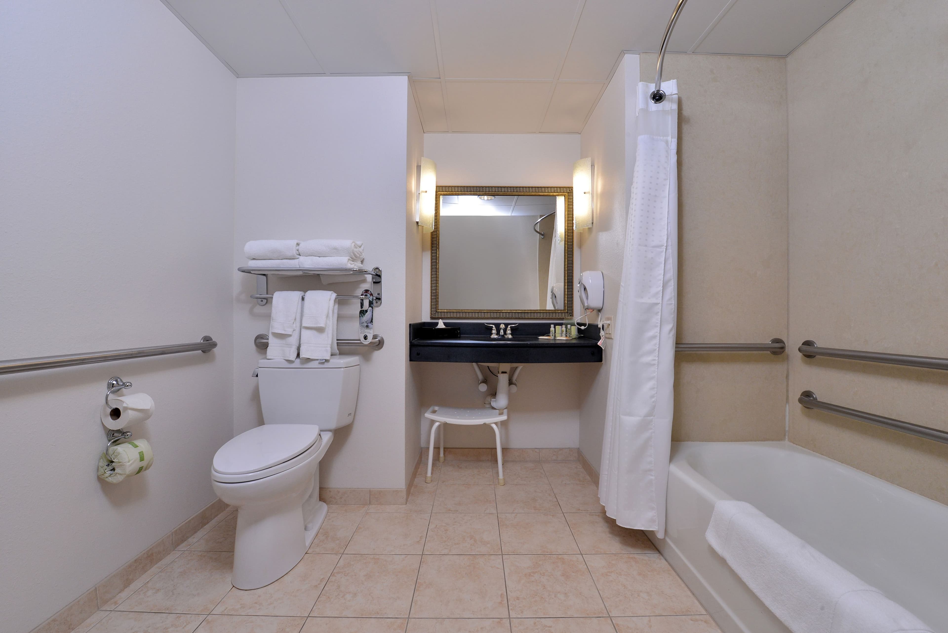 Holiday Inn Madison at The American Center — 31