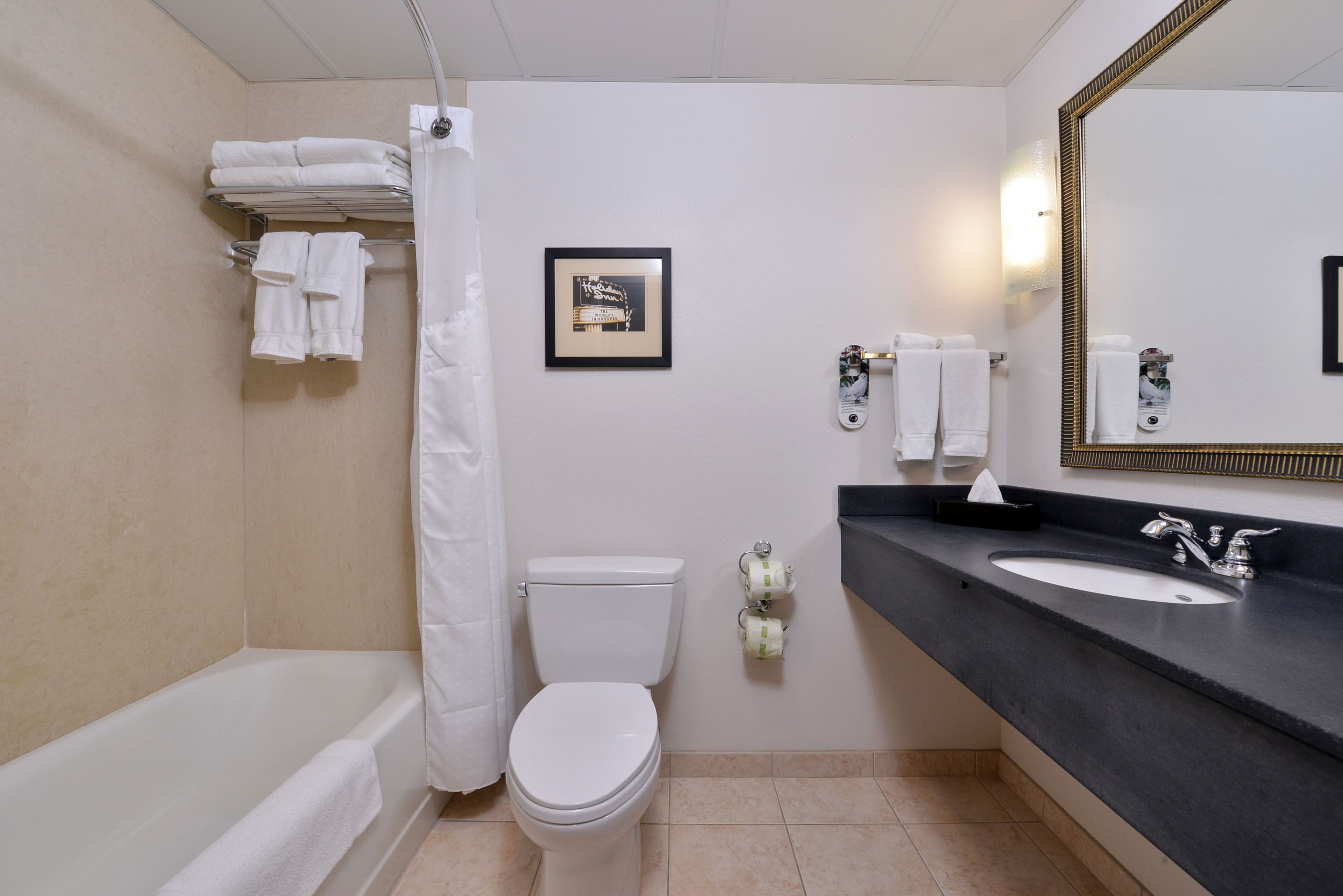 Holiday Inn Madison at The American Center — 7