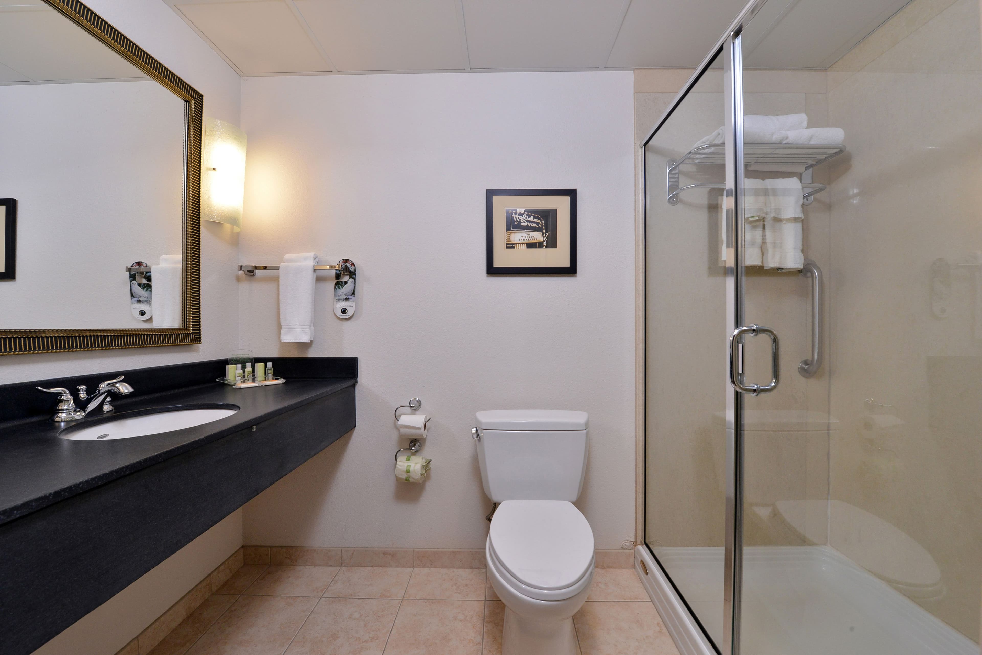 Holiday Inn Madison at The American Center — 6