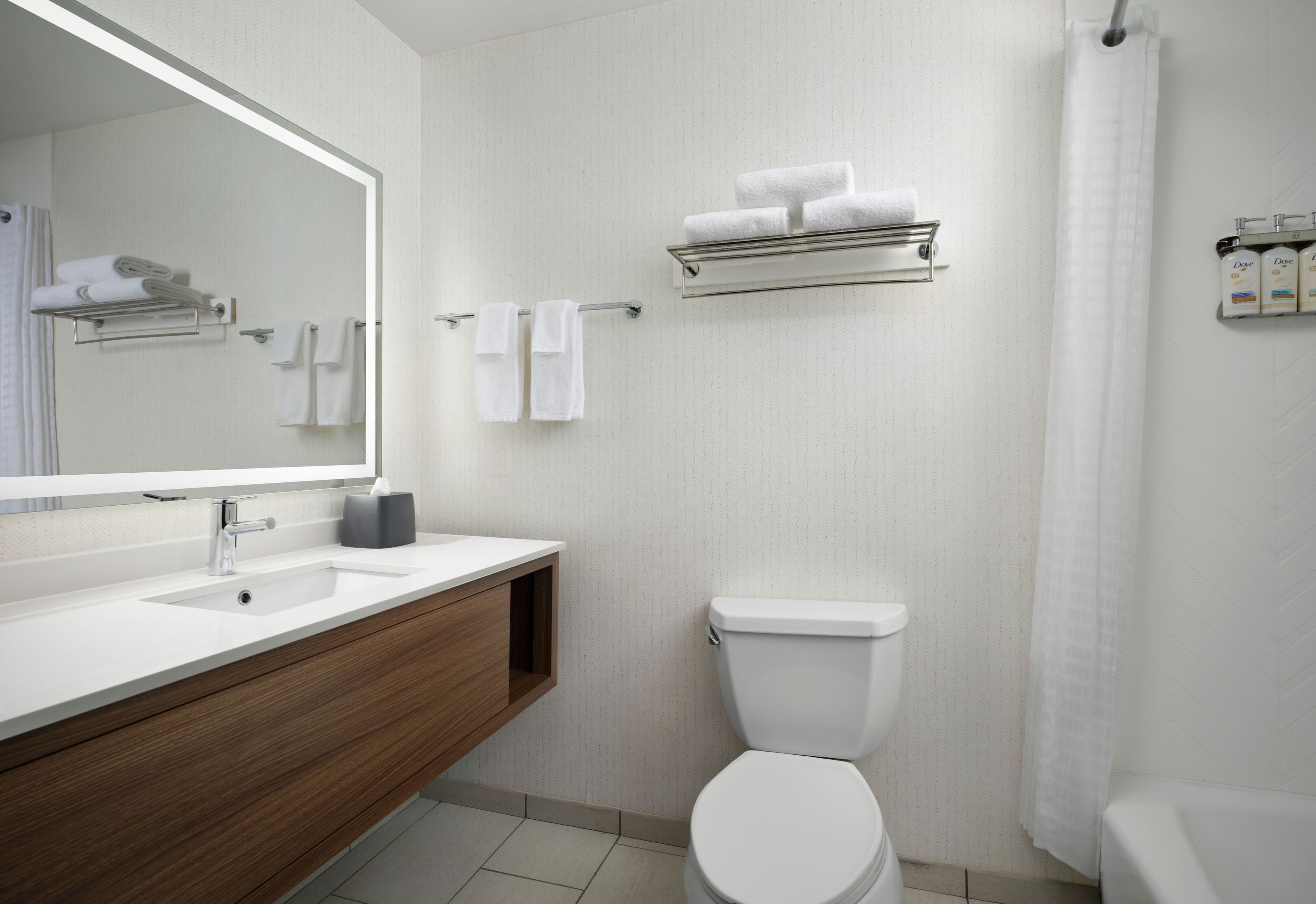 Holiday Inn Meridian E - I 20/I 59 - Image 3